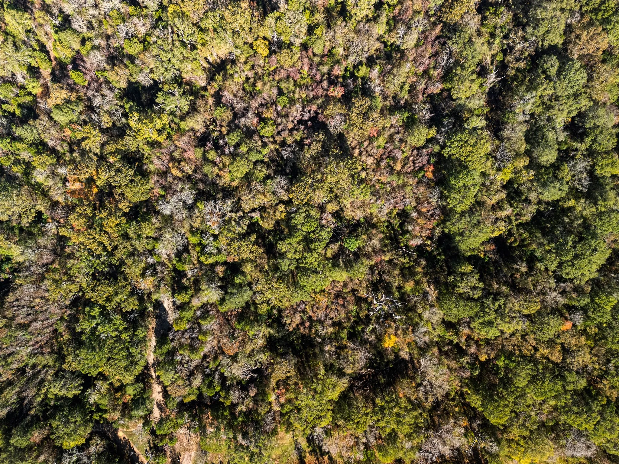 Unimproved Land For Sale in Van Zandt County , TBD VZ County Road 4815, Chandler, Texas 75758, 0, 0, Garage spaces, 0 Sqft, built in 0, mls#21380785, Real Estate Agent in Chandler, Homes For Sale in Van Zandt county, Homes For Sale in Chandler, Realtor in Chandler Texas, Real Estate Brokerage Independent Realty Texas, Luminita Cordes Realtor