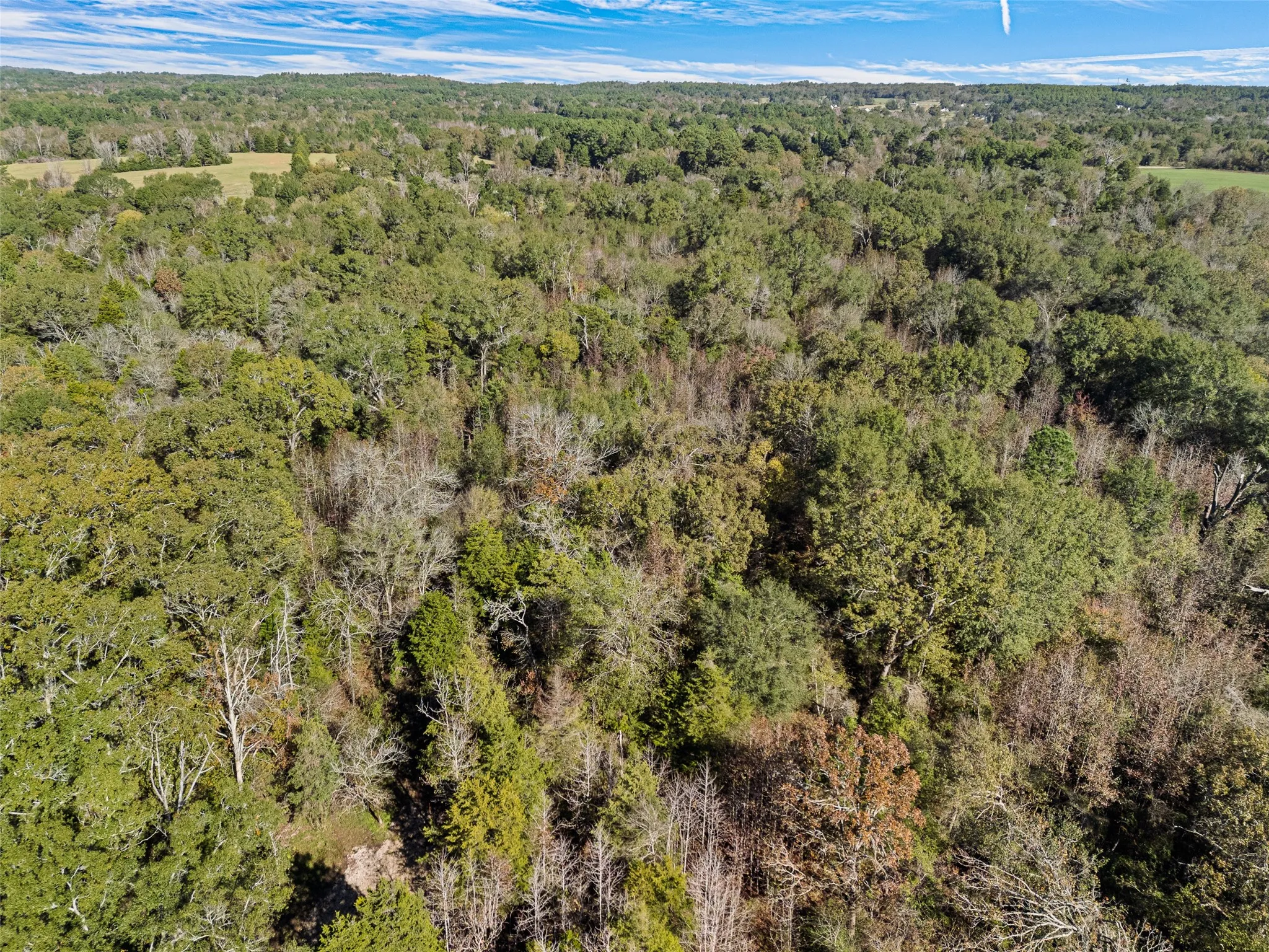 Unimproved Land For Sale in Van Zandt County , TBD VZ County Road 4815, Chandler, Texas 75758, 0, 0, Garage spaces, 0 Sqft, built in 0, mls#21380785, Real Estate Agent in Chandler, Homes For Sale in Van Zandt county, Homes For Sale in Chandler, Realtor in Chandler Texas, Real Estate Brokerage Independent Realty Texas, Luminita Cordes Realtor