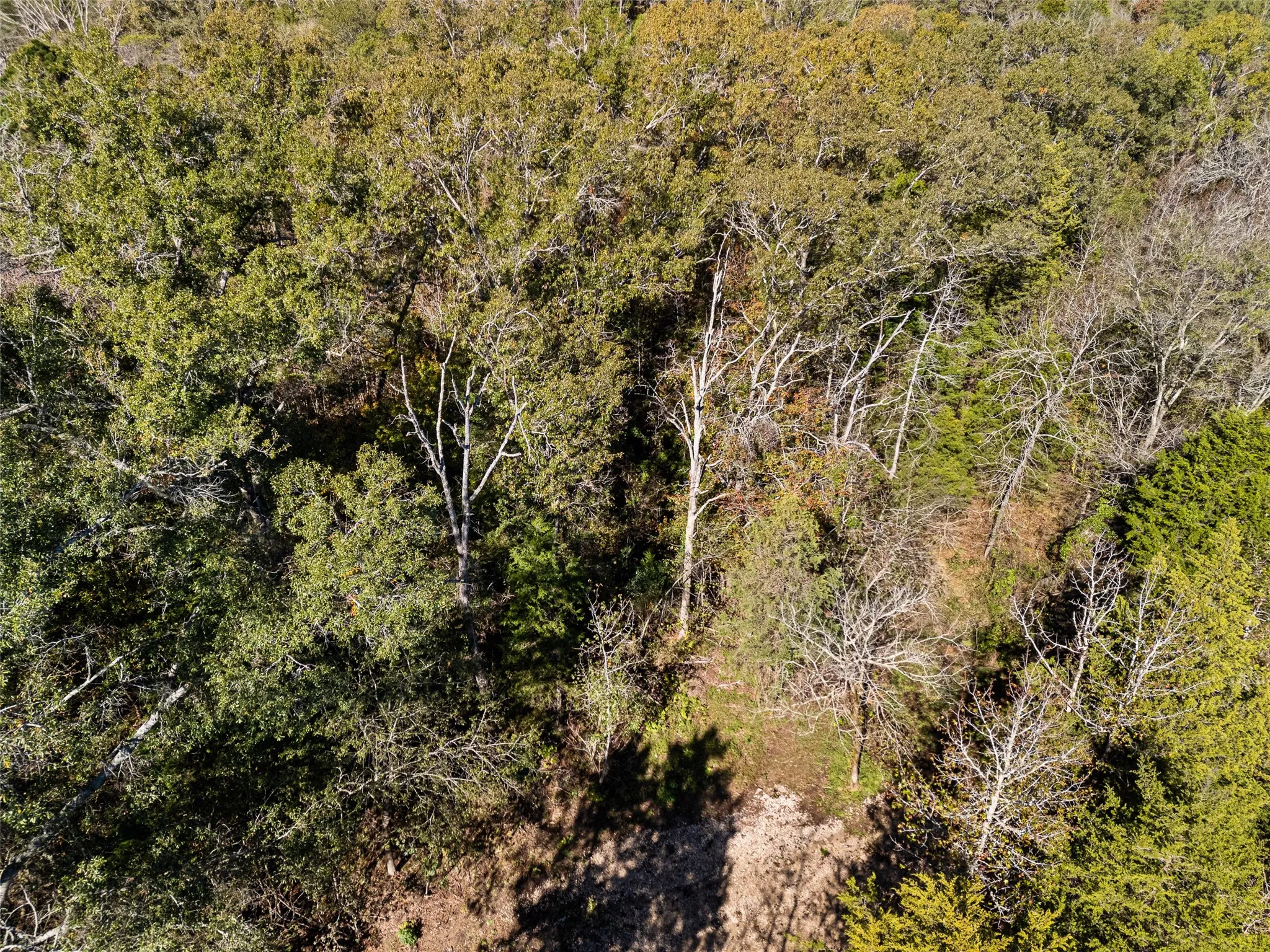 Unimproved Land For Sale in Van Zandt County , TBD VZ County Road 4815, Chandler, Texas 75758, 0, 0, Garage spaces, 0 Sqft, built in 0, mls#21380785, Real Estate Agent in Chandler, Homes For Sale in Van Zandt county, Homes For Sale in Chandler, Realtor in Chandler Texas, Real Estate Brokerage Independent Realty Texas, Luminita Cordes Realtor