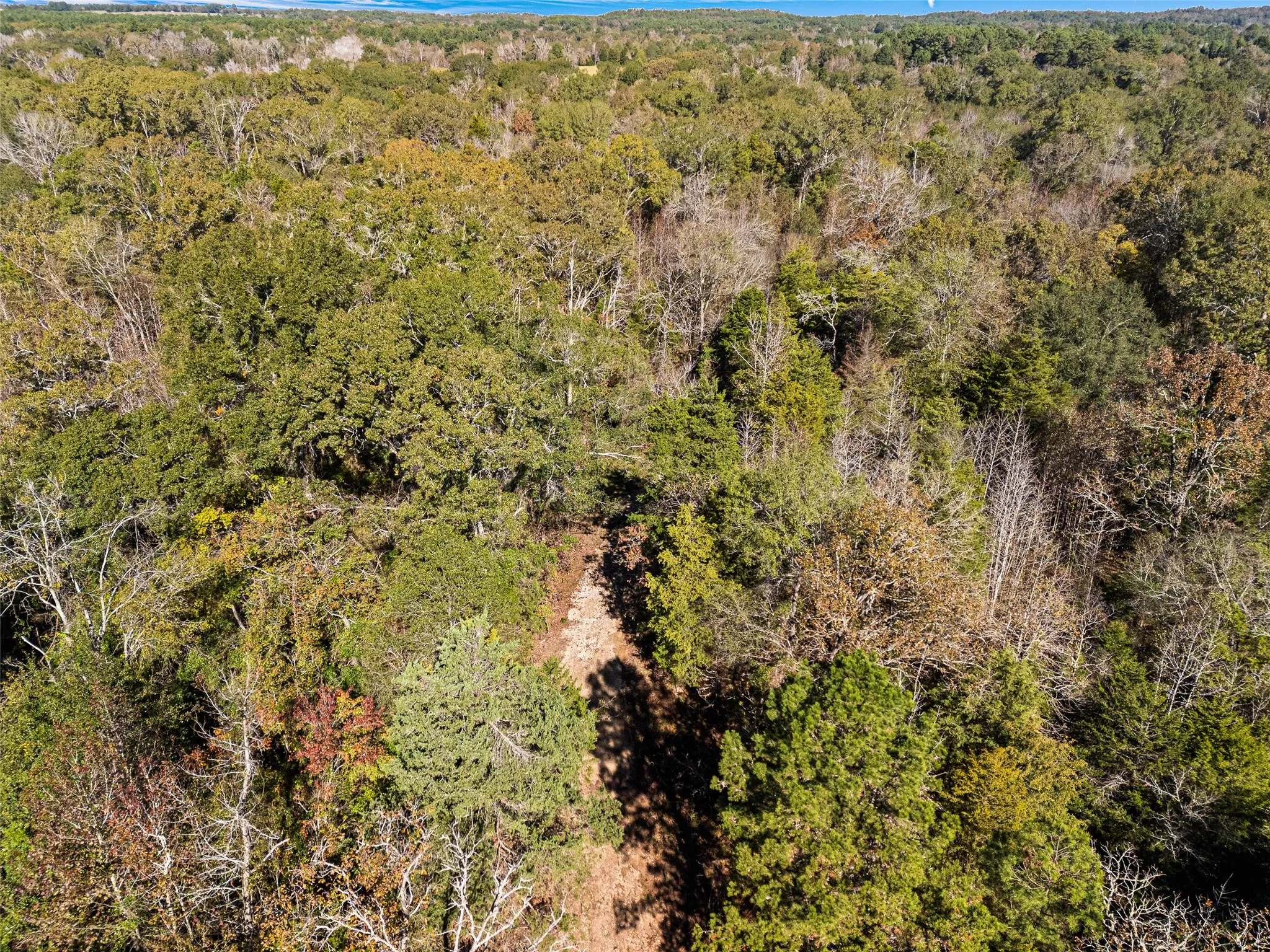 Unimproved Land For Sale in Van Zandt County , TBD VZ County Road 4815, Chandler, Texas 75758, 0, 0, Garage spaces, 0 Sqft, built in 0, mls#21380785, Real Estate Agent in Chandler, Homes For Sale in Van Zandt county, Homes For Sale in Chandler, Realtor in Chandler Texas, Real Estate Brokerage Independent Realty Texas, Luminita Cordes Realtor