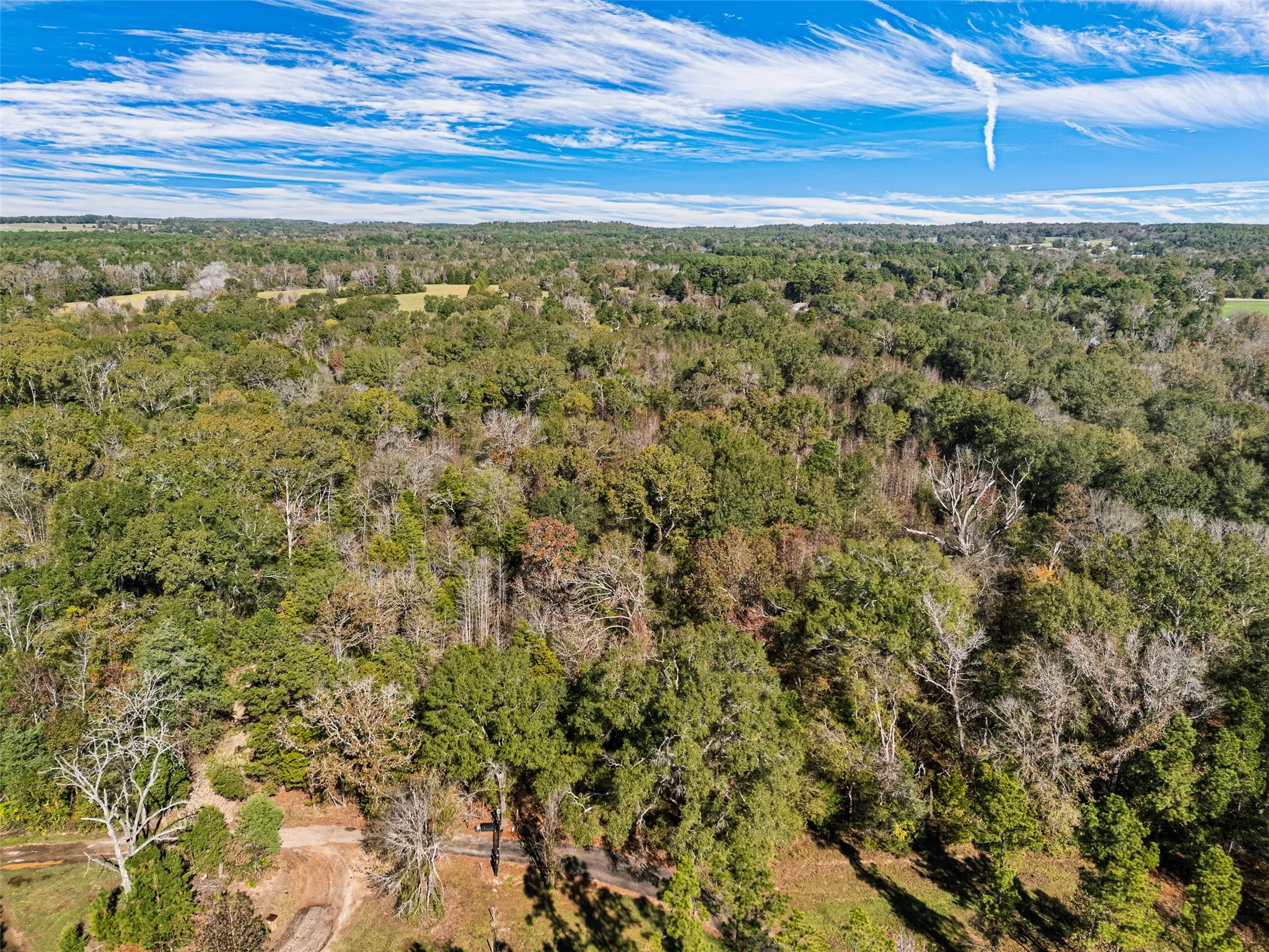 Unimproved Land For Sale in Van Zandt County , TBD VZ County Road 4815, Chandler, Texas 75758, 0, 0, Garage spaces, 0 Sqft, built in 0, mls#21380785, Real Estate Agent in Chandler, Homes For Sale in Van Zandt county, Homes For Sale in Chandler, Realtor in Chandler Texas, Real Estate Brokerage Independent Realty Texas, Luminita Cordes Realtor