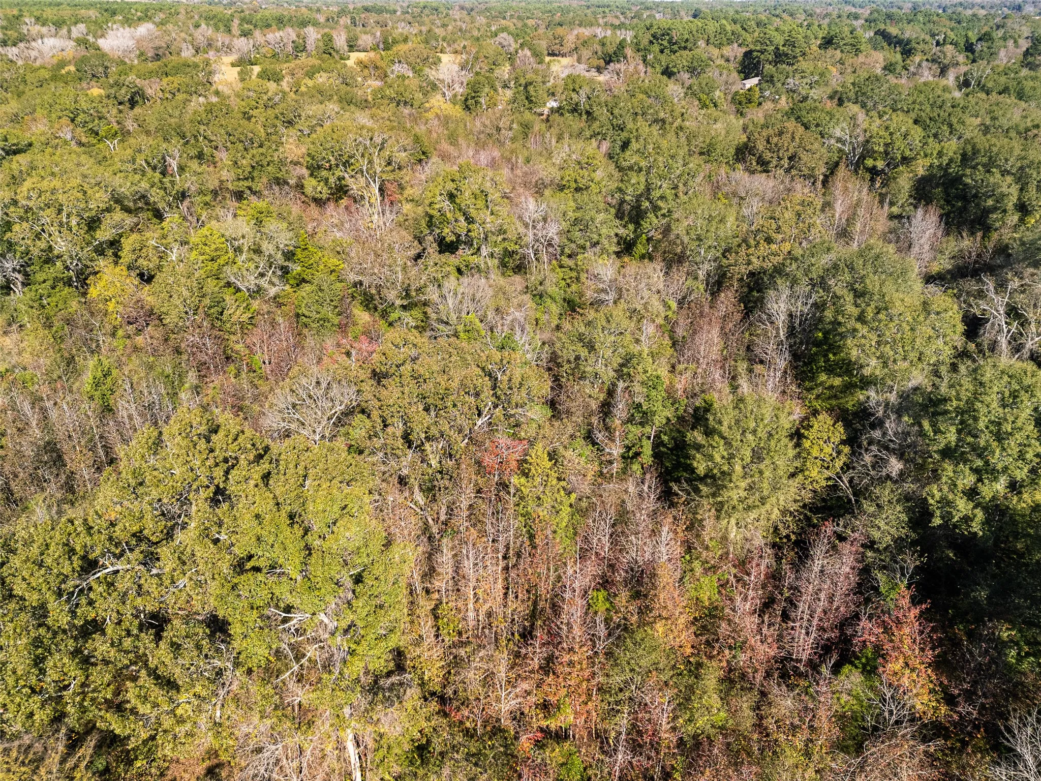 Unimproved Land For Sale in Van Zandt County , TBD VZ County Road 4815, Chandler, Texas 75758, 0, 0, Garage spaces, 0 Sqft, built in 0, mls#21380785, Real Estate Agent in Chandler, Homes For Sale in Van Zandt county, Homes For Sale in Chandler, Realtor in Chandler Texas, Real Estate Brokerage Independent Realty Texas, Luminita Cordes Realtor