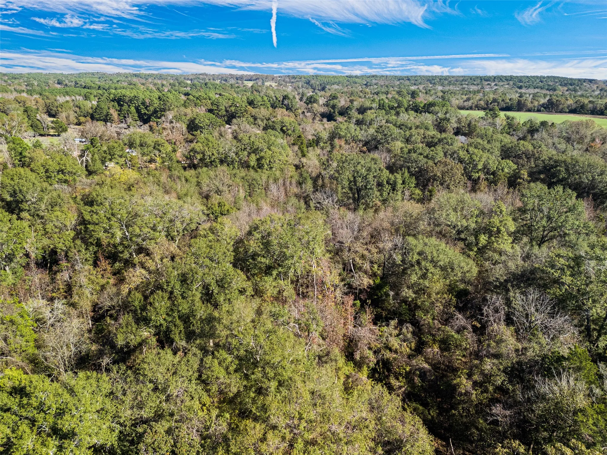Unimproved Land For Sale in Van Zandt County , TBD VZ County Road 4815, Chandler, Texas 75758, 0, 0, Garage spaces, 0 Sqft, built in 0, mls#21380785, Real Estate Agent in Chandler, Homes For Sale in Van Zandt county, Homes For Sale in Chandler, Realtor in Chandler Texas, Real Estate Brokerage Independent Realty Texas, Luminita Cordes Realtor