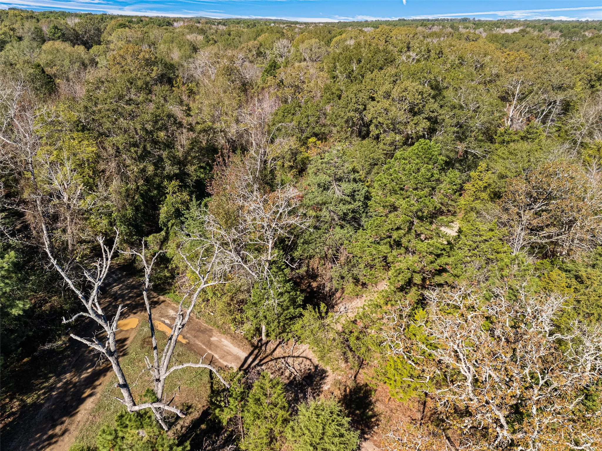 Unimproved Land For Sale in Van Zandt County , TBD VZ County Road 4815, Chandler, Texas 75758, 0, 0, Garage spaces, 0 Sqft, built in 0, mls#21380785, Real Estate Agent in Chandler, Homes For Sale in Van Zandt county, Homes For Sale in Chandler, Realtor in Chandler Texas, Real Estate Brokerage Independent Realty Texas, Luminita Cordes Realtor
