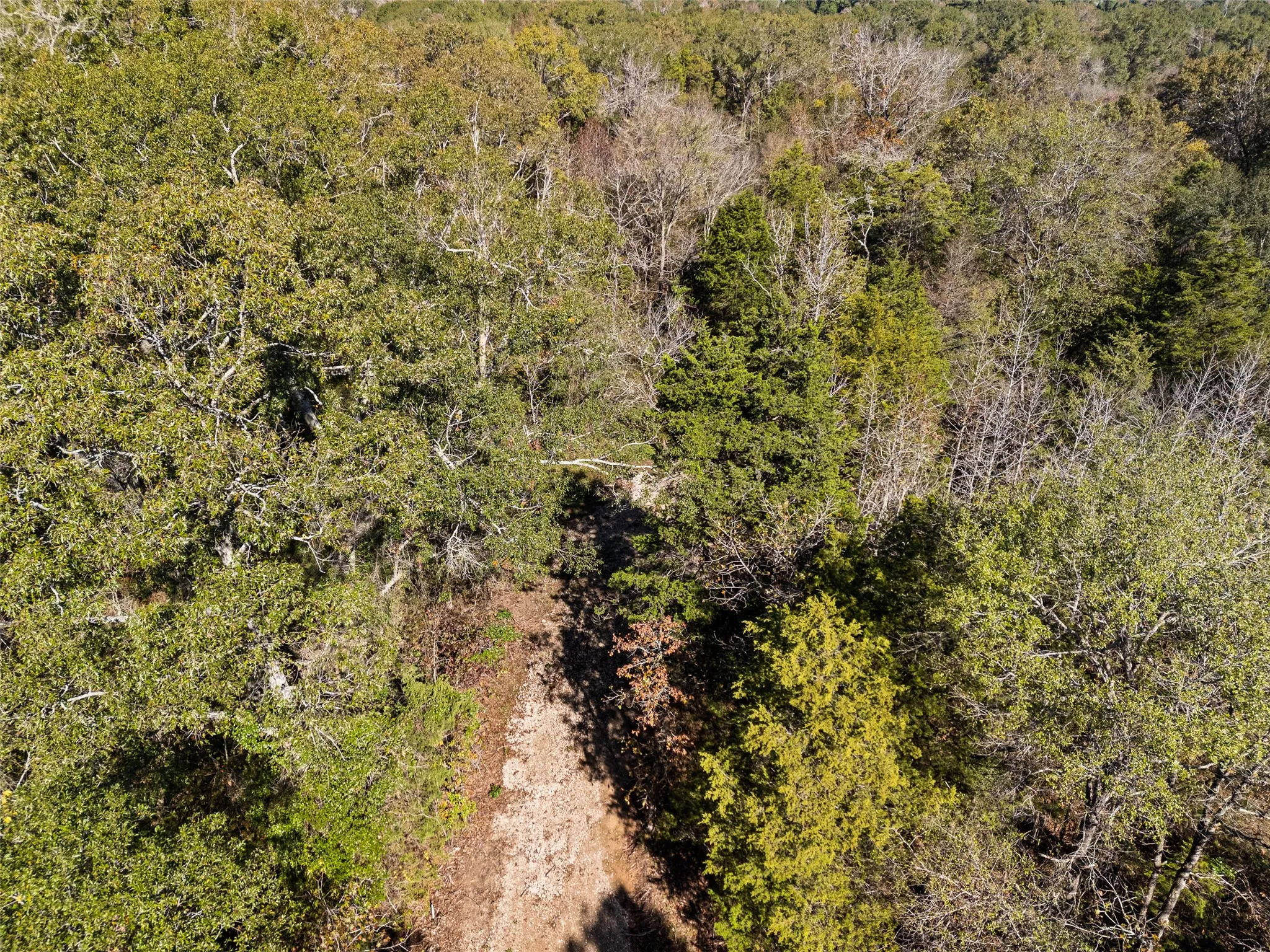 Unimproved Land For Sale in Van Zandt County , TBD VZ County Road 4815, Chandler, Texas 75758, 0, 0, Garage spaces, 0 Sqft, built in 0, mls#21380785, Real Estate Agent in Chandler, Homes For Sale in Van Zandt county, Homes For Sale in Chandler, Realtor in Chandler Texas, Real Estate Brokerage Independent Realty Texas, Luminita Cordes Realtor