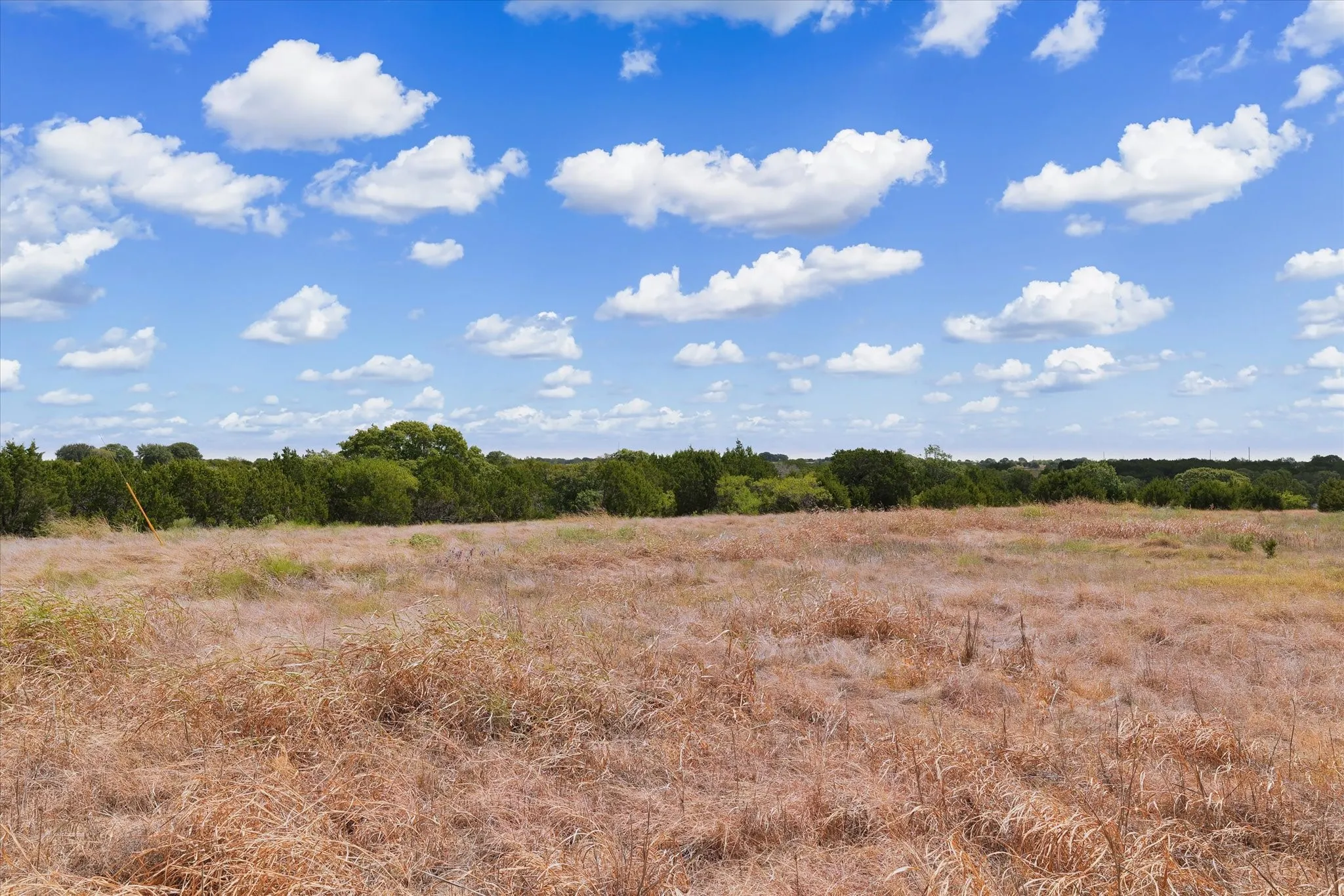 Expansive undeveloped land featuring natural vegetation and a distant tree line