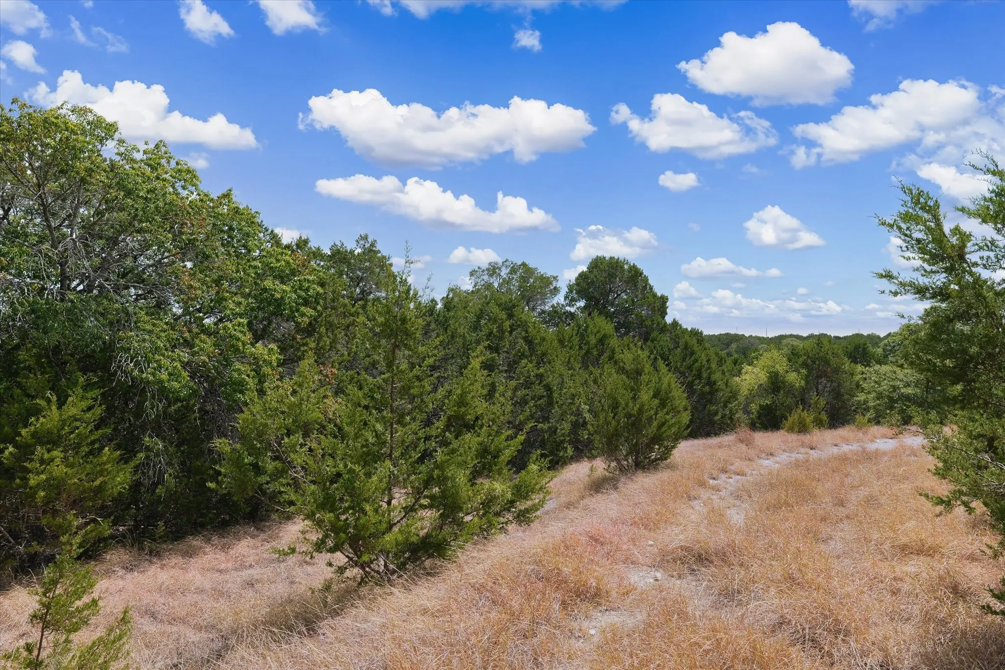 Expansive land featuring diverse tree coverage and natural terrain