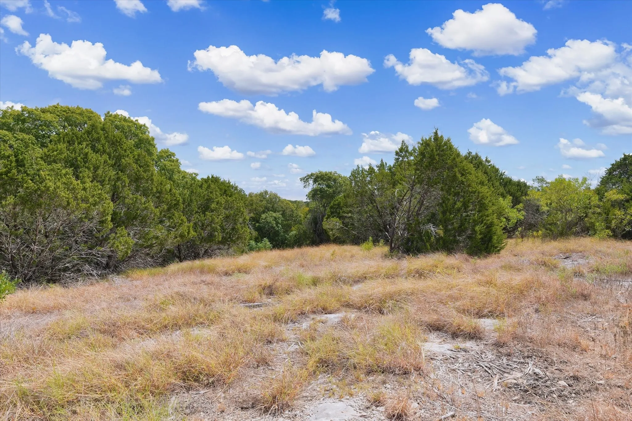 Expansive lot with natural vegetation and mature trees