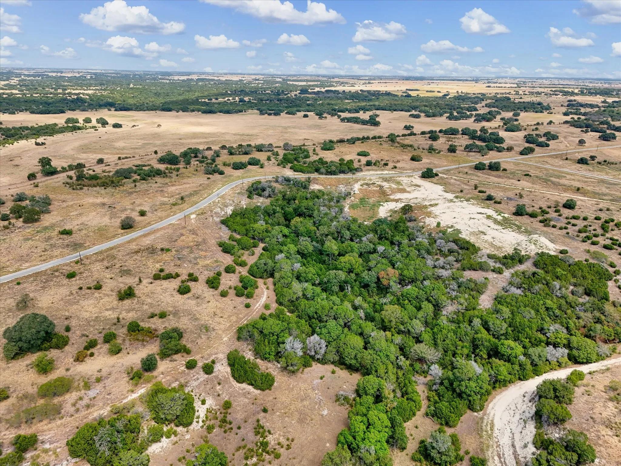 Expansive acreage featuring mature trees, natural vegetation, and a clear sky