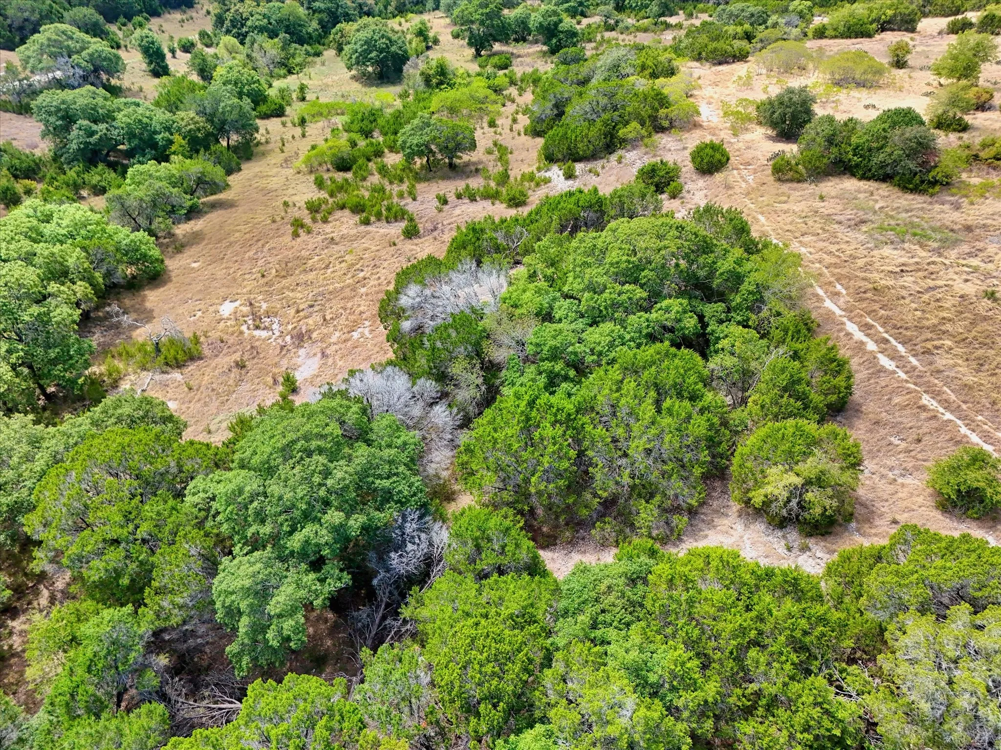 Expansive land featuring diverse vegetation, mature trees, and natural terrain
