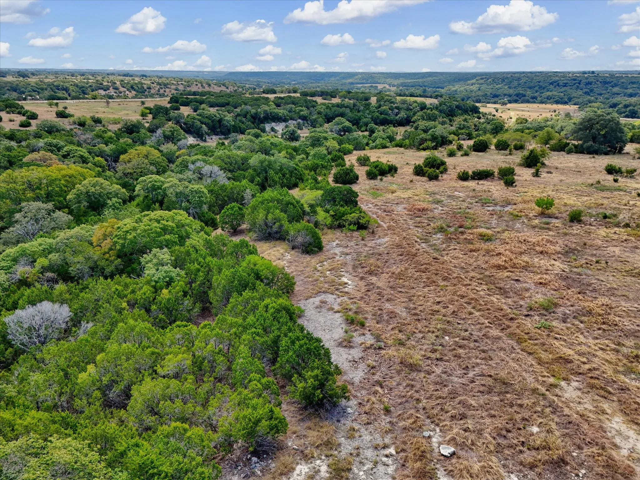 Expansive natural landscape featuring lush green trees and open terrain