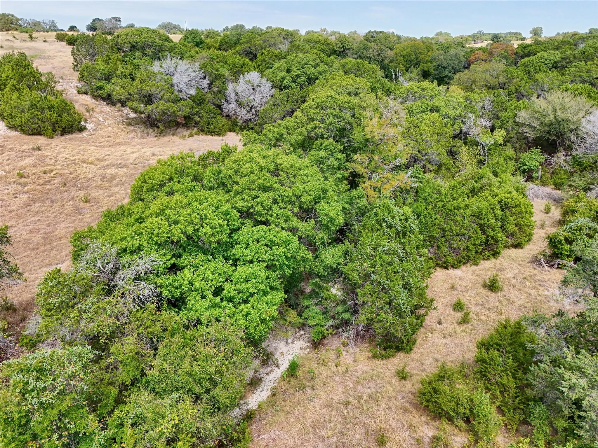 Expansive land parcel featuring dense tree coverage and natural clearings