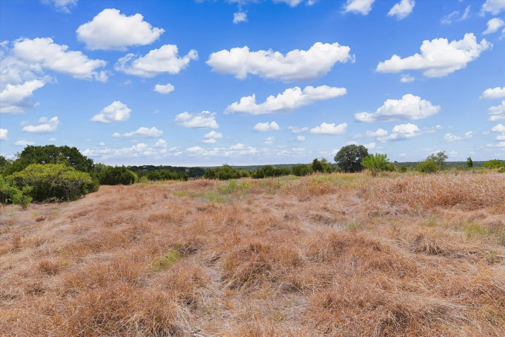 Expansive open land featuring natural grasses and mature trees