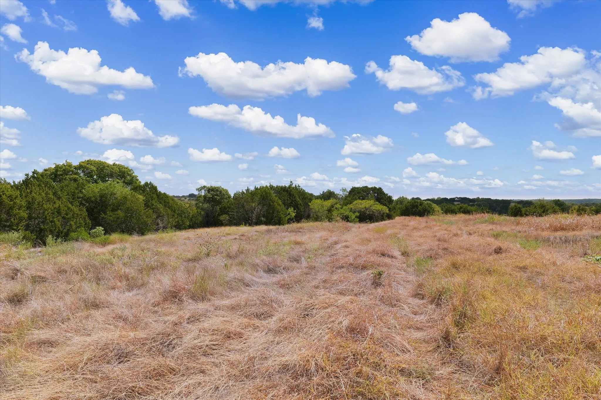 Expansive undeveloped land with natural growth and mature trees