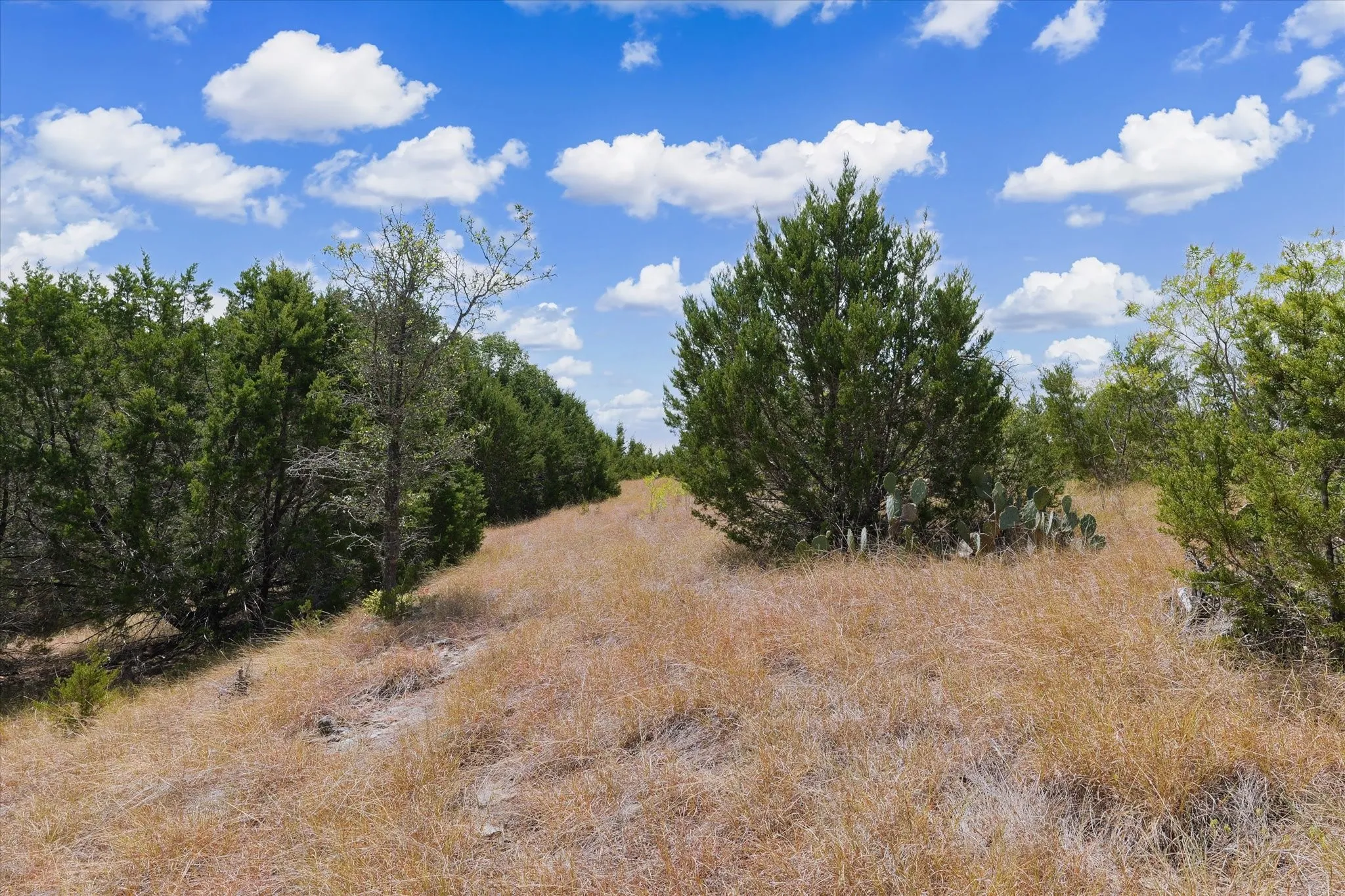 Expansive natural landscape featuring varied topography, mature trees, and native vegetation
