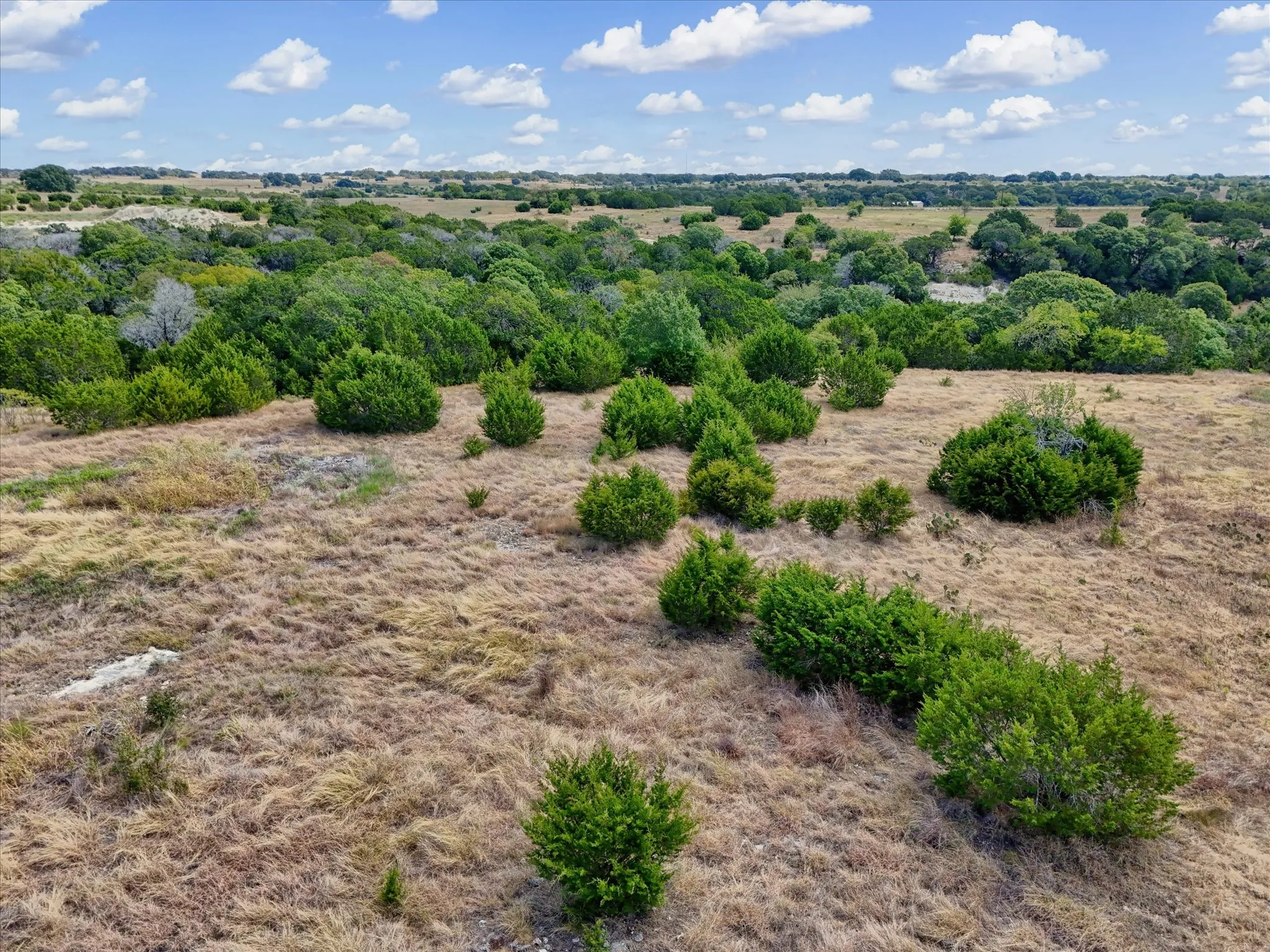 Expansive acreage featuring natural vegetation and diverse tree coverage