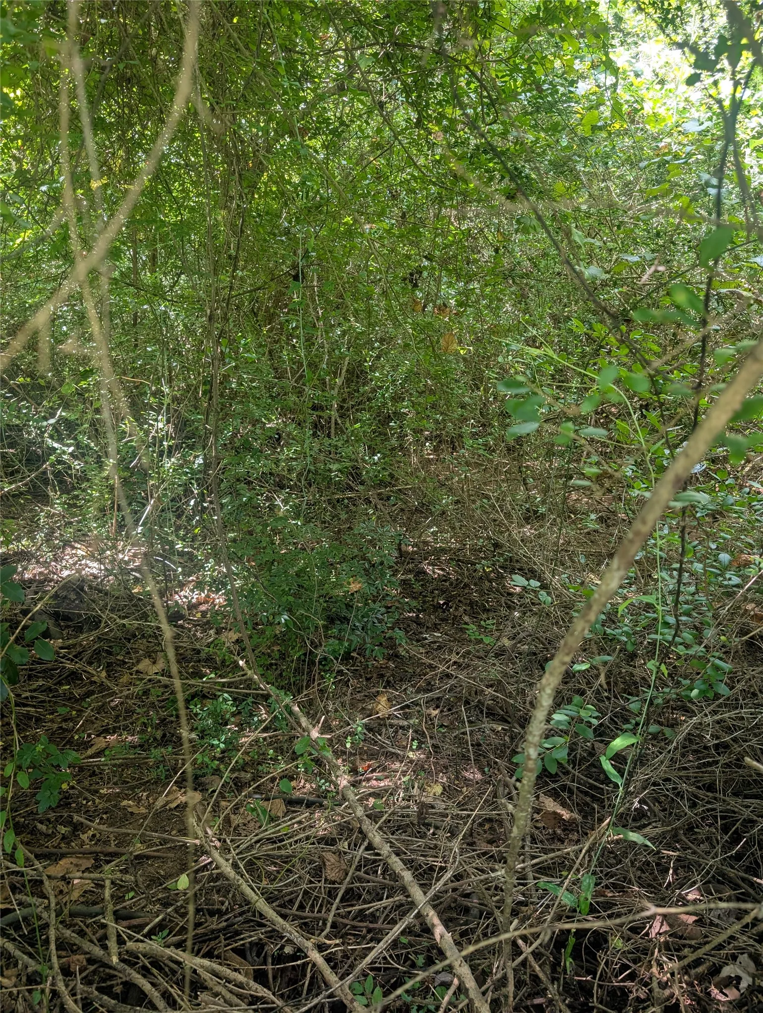 Unimproved Land For Sale in Wood County , 0 County Road 3419, Hawkins, Texas 75765, 0, 0, Garage spaces, 0 Sqft, built in 0, mls#21380795, Real Estate Agent in Hawkins, Homes For Sale in Wood county, Homes For Sale in Hawkins, Realtor in Hawkins Texas, Real Estate Brokerage Independent Realty Texas, Luminita Cordes Realtor