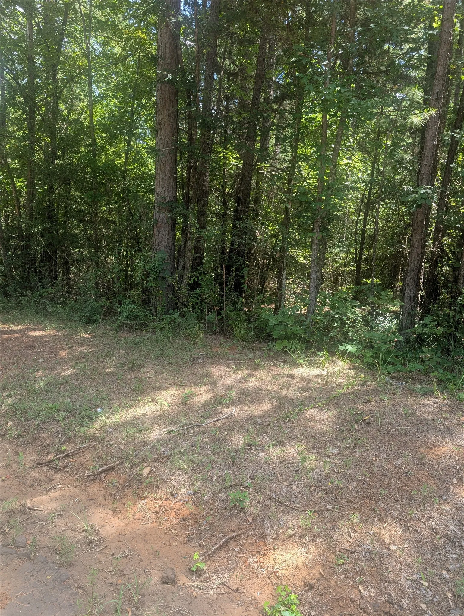 Unimproved Land For Sale in Wood County , 212 Yates Street, Hawkins, Texas 75765, 0, 0, Garage spaces, 0 Sqft, built in 0, mls#21380803, Real Estate Agent in Hawkins, Homes For Sale in Wood county, Homes For Sale in Hawkins, Realtor in Hawkins Texas, Real Estate Brokerage Independent Realty Texas, Luminita Cordes Realtor