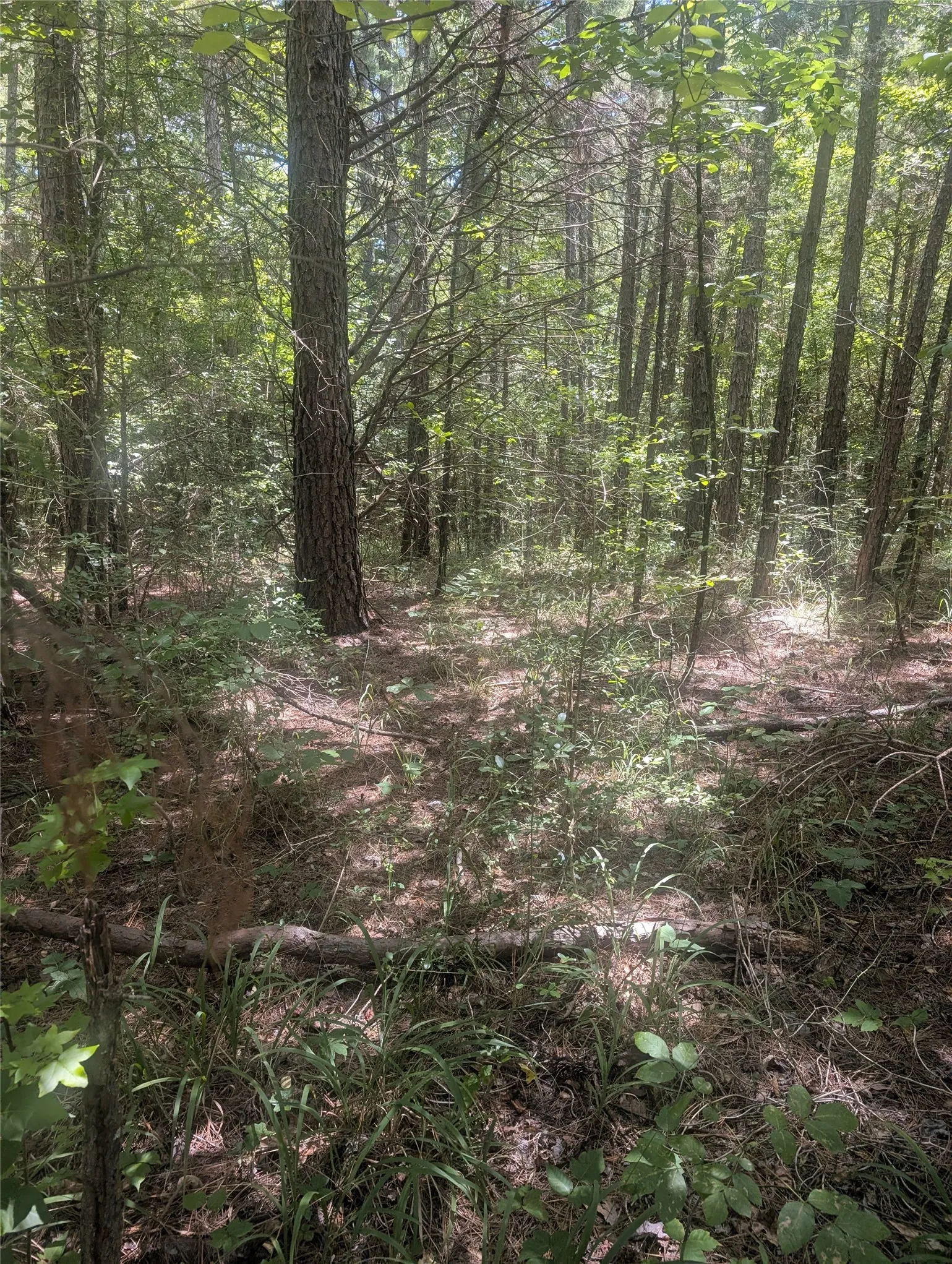 Unimproved Land For Sale in Wood County , 212 Yates Street, Hawkins, Texas 75765, 0, 0, Garage spaces, 0 Sqft, built in 0, mls#21380803, Real Estate Agent in Hawkins, Homes For Sale in Wood county, Homes For Sale in Hawkins, Realtor in Hawkins Texas, Real Estate Brokerage Independent Realty Texas, Luminita Cordes Realtor