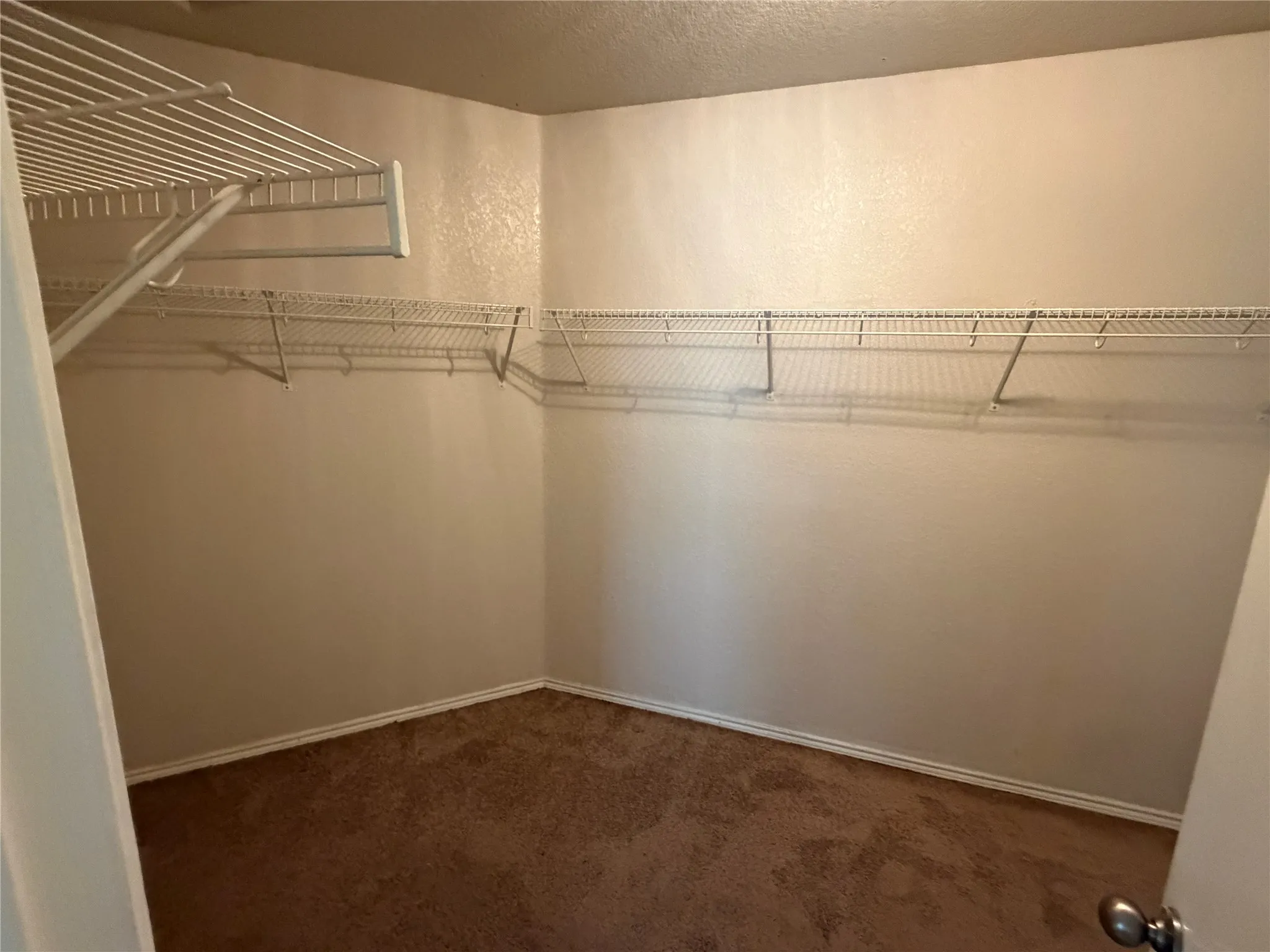 Wall-to-wall carpeting with white wire shelving system and hanging rods
