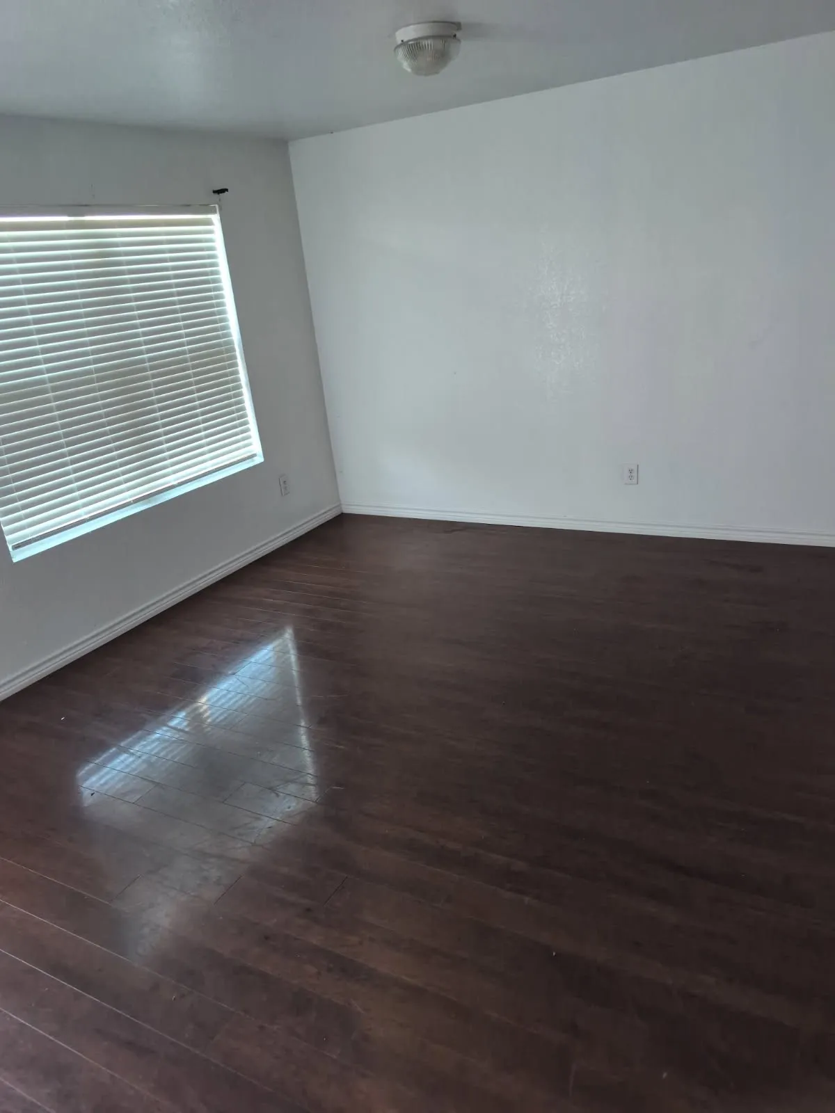 Wood-finish flooring with a white wall finish and a ceiling-mounted light fixture