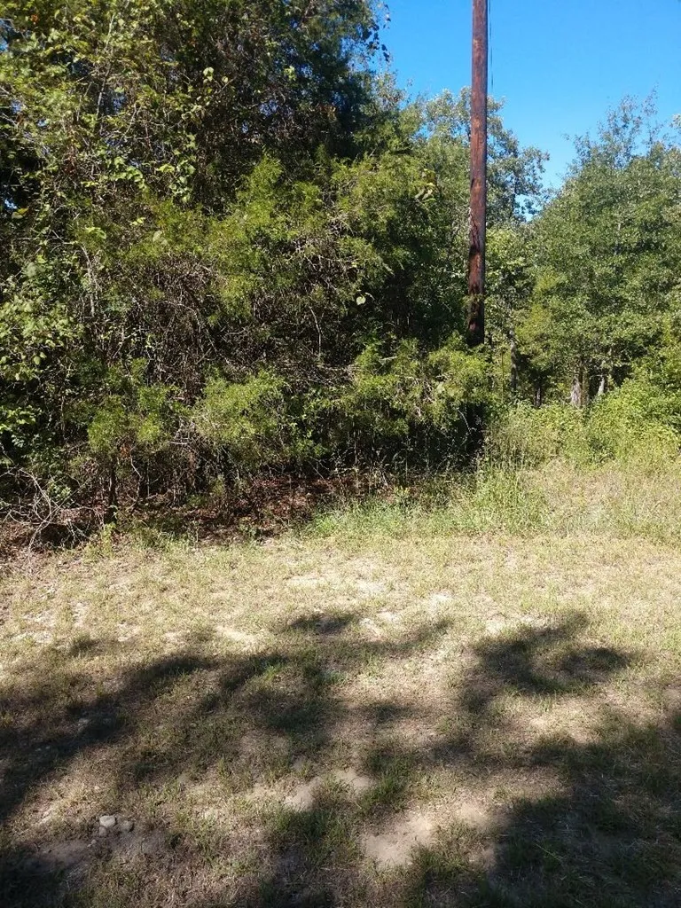 Unimproved Land For Sale in Henderson County , 0 Kathy Circle, Malakoff, Texas 75148, 0, 0, Garage spaces, 0 Sqft, built in 0, mls#21380837, Real Estate Agent in Malakoff, Homes For Sale in Henderson county, Homes For Sale in Malakoff, Realtor in Malakoff Texas, Real Estate Brokerage Independent Realty Texas, Luminita Cordes Realtor