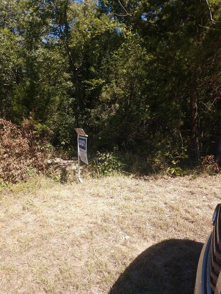Unimproved Land For Sale in Henderson County , 0 Kathy Circle, Malakoff, Texas 75148, 0, 0, Garage spaces, 0 Sqft, built in 0, mls#21380837, Real Estate Agent in Malakoff, Homes For Sale in Henderson county, Homes For Sale in Malakoff, Realtor in Malakoff Texas, Real Estate Brokerage Independent Realty Texas, Luminita Cordes Realtor