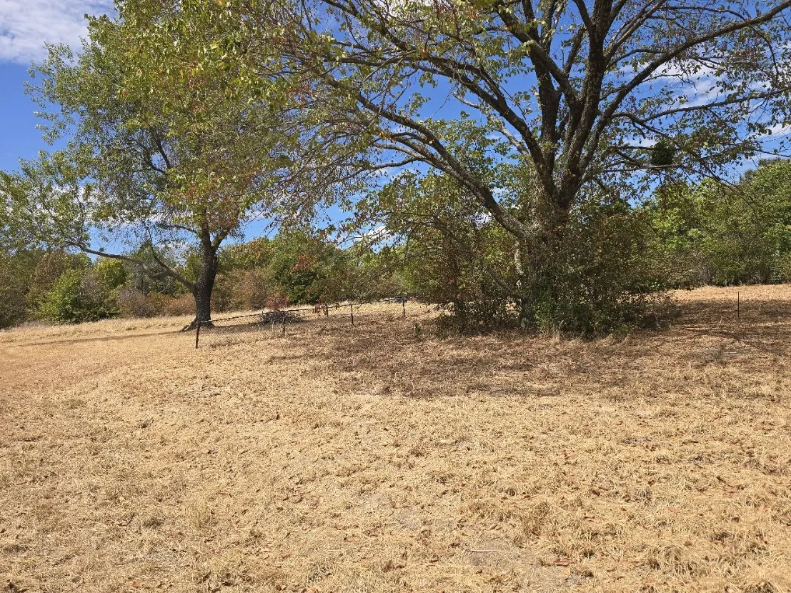 Unimproved Land For Sale in Henderson County , Lot 344 Meadow Heath, Gun Barrel City, Texas 75156, 0, 0, Garage spaces, 0 Sqft, built in 0, mls#21380815, Real Estate Agent in Gun Barrel City, Homes For Sale in Henderson county, Homes For Sale in Gun Barrel City, Realtor in Gun Barrel City Texas, Real Estate Brokerage Independent Realty Texas, Luminita Cordes Realtor