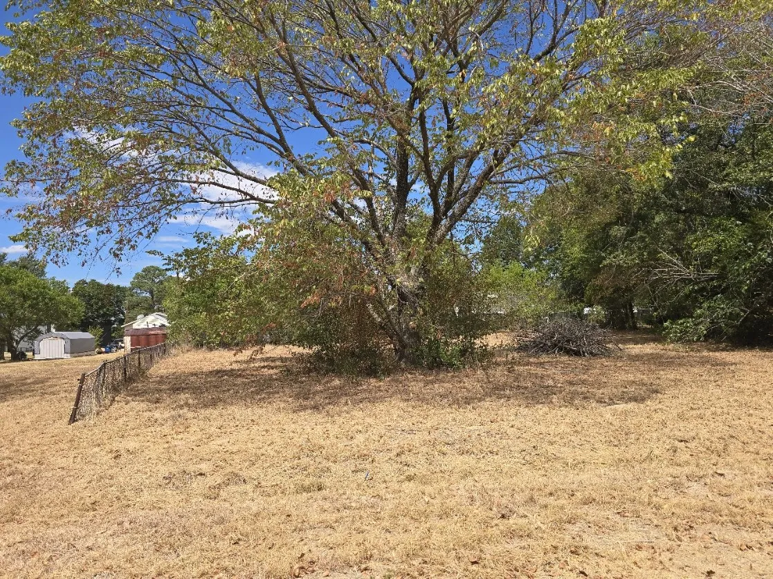 Unimproved Land For Sale in Henderson County , Lot 344 Meadow Heath, Gun Barrel City, Texas 75156, 0, 0, Garage spaces, 0 Sqft, built in 0, mls#21380815, Real Estate Agent in Gun Barrel City, Homes For Sale in Henderson county, Homes For Sale in Gun Barrel City, Realtor in Gun Barrel City Texas, Real Estate Brokerage Independent Realty Texas, Luminita Cordes Realtor
