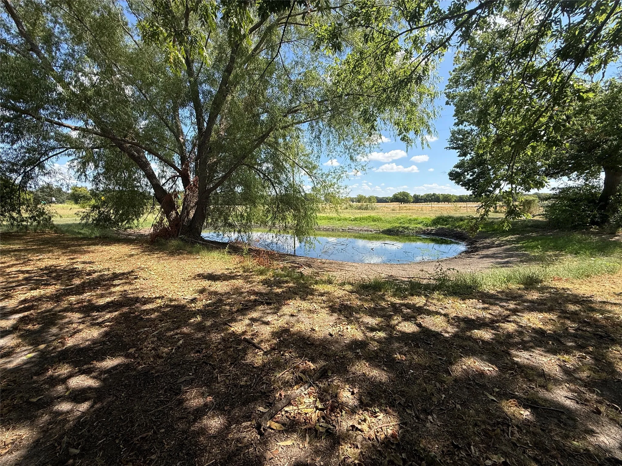 Single Family Residence For Sale in Fannin County , 4411 Fm 100, Honey Grove, Texas 75446, 3 Bedroom, 2 Bathroom, Garage spaces, 1,404 Sqft, built in 1986, mls#21380854, Real Estate Agent in Honey Grove, Homes For Sale in Fannin county, Homes For Sale in Honey Grove, Realtor in Honey Grove Texas, Real Estate Brokerage Independent Realty Texas, Luminita Cordes Realtor