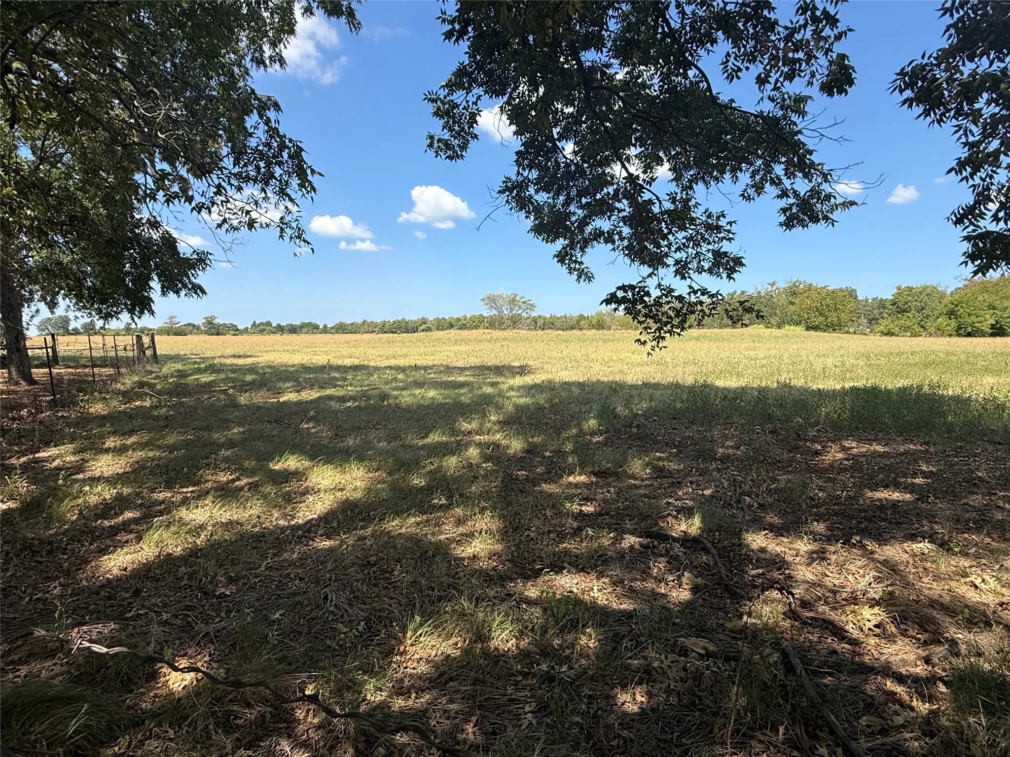Single Family Residence For Sale in Fannin County , 4411 Fm 100, Honey Grove, Texas 75446, 3 Bedroom, 2 Bathroom, Garage spaces, 1,404 Sqft, built in 1986, mls#21380854, Real Estate Agent in Honey Grove, Homes For Sale in Fannin county, Homes For Sale in Honey Grove, Realtor in Honey Grove Texas, Real Estate Brokerage Independent Realty Texas, Luminita Cordes Realtor