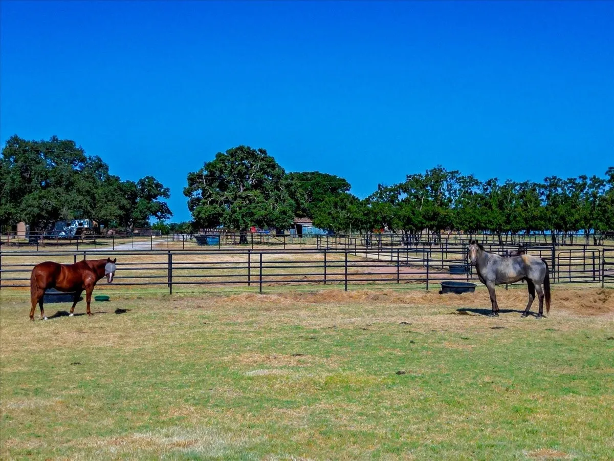 Farm For Sale in Parker County , 820 Walker Lane, Brock, Texas 76066, 3 Bedroom, 2 Bathroom, Garage spaces, 2,412 Sqft, built in 1991, mls#21377902, Real Estate Agent in Brock, Homes For Sale in Parker county, Homes For Sale in Brock, Realtor in Brock Texas, Real Estate Brokerage Independent Realty Texas, Luminita Cordes Realtor