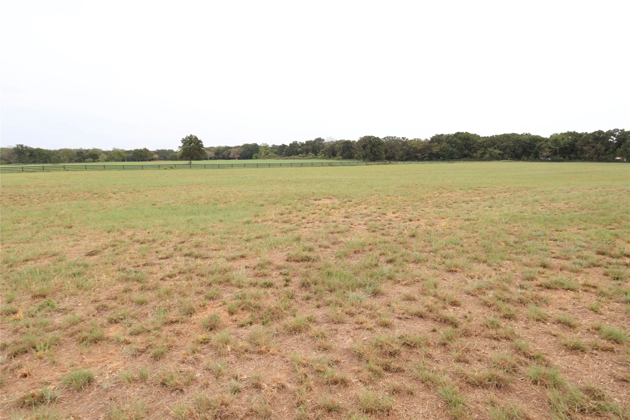 Unimproved Land For Sale in Denton County , 2142 Spring Hill Road, Aubrey, Texas 76227, 0, 0, Garage spaces, 0 Sqft, built in 0, mls#21380896, Real Estate Agent in Aubrey, Homes For Sale in Denton county, Homes For Sale in Aubrey, Realtor in Aubrey Texas, Real Estate Brokerage Independent Realty Texas, Luminita Cordes Realtor