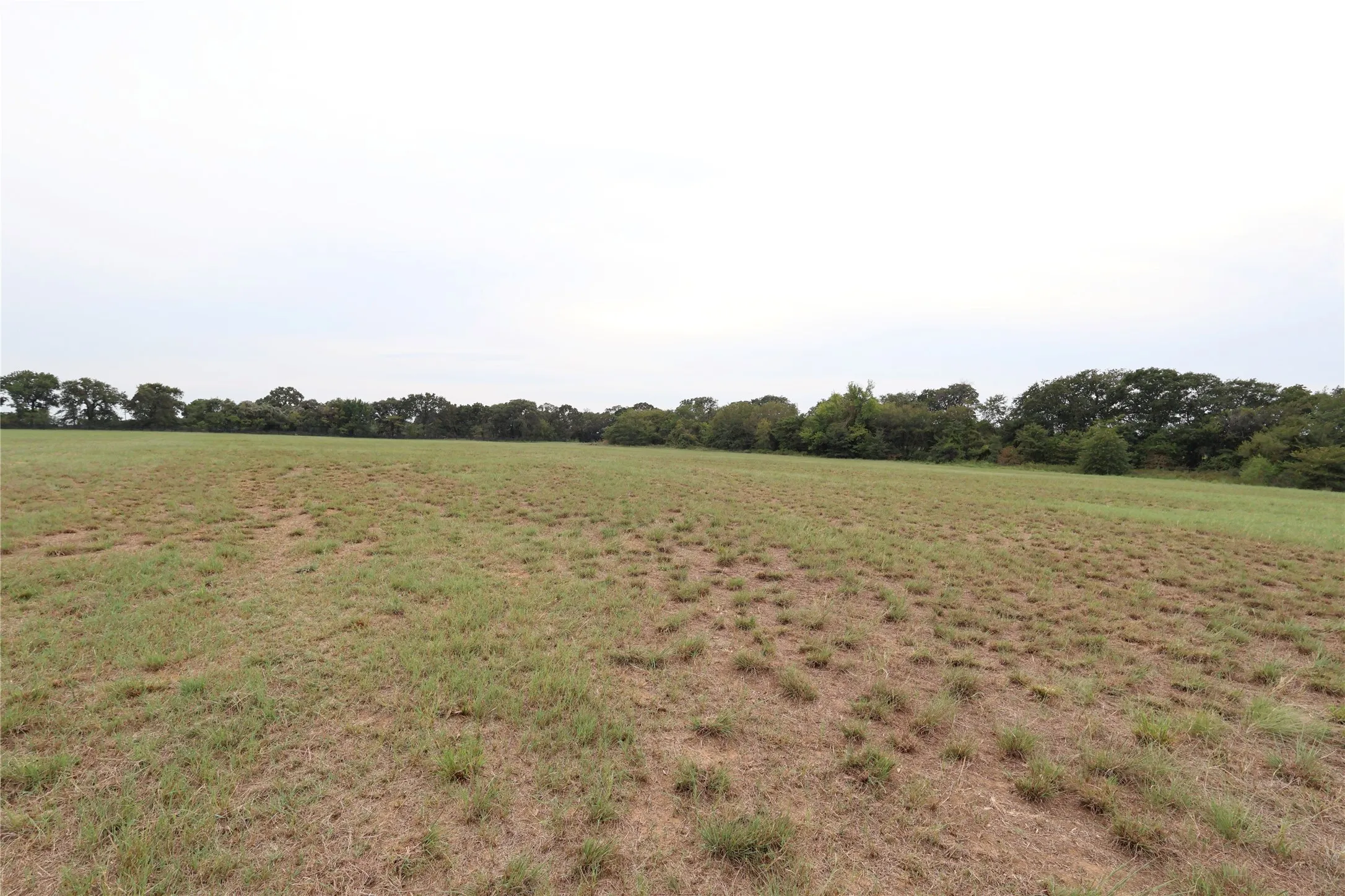 Unimproved Land For Sale in Denton County , 2142 Spring Hill Road, Aubrey, Texas 76227, 0, 0, Garage spaces, 0 Sqft, built in 0, mls#21380896, Real Estate Agent in Aubrey, Homes For Sale in Denton county, Homes For Sale in Aubrey, Realtor in Aubrey Texas, Real Estate Brokerage Independent Realty Texas, Luminita Cordes Realtor