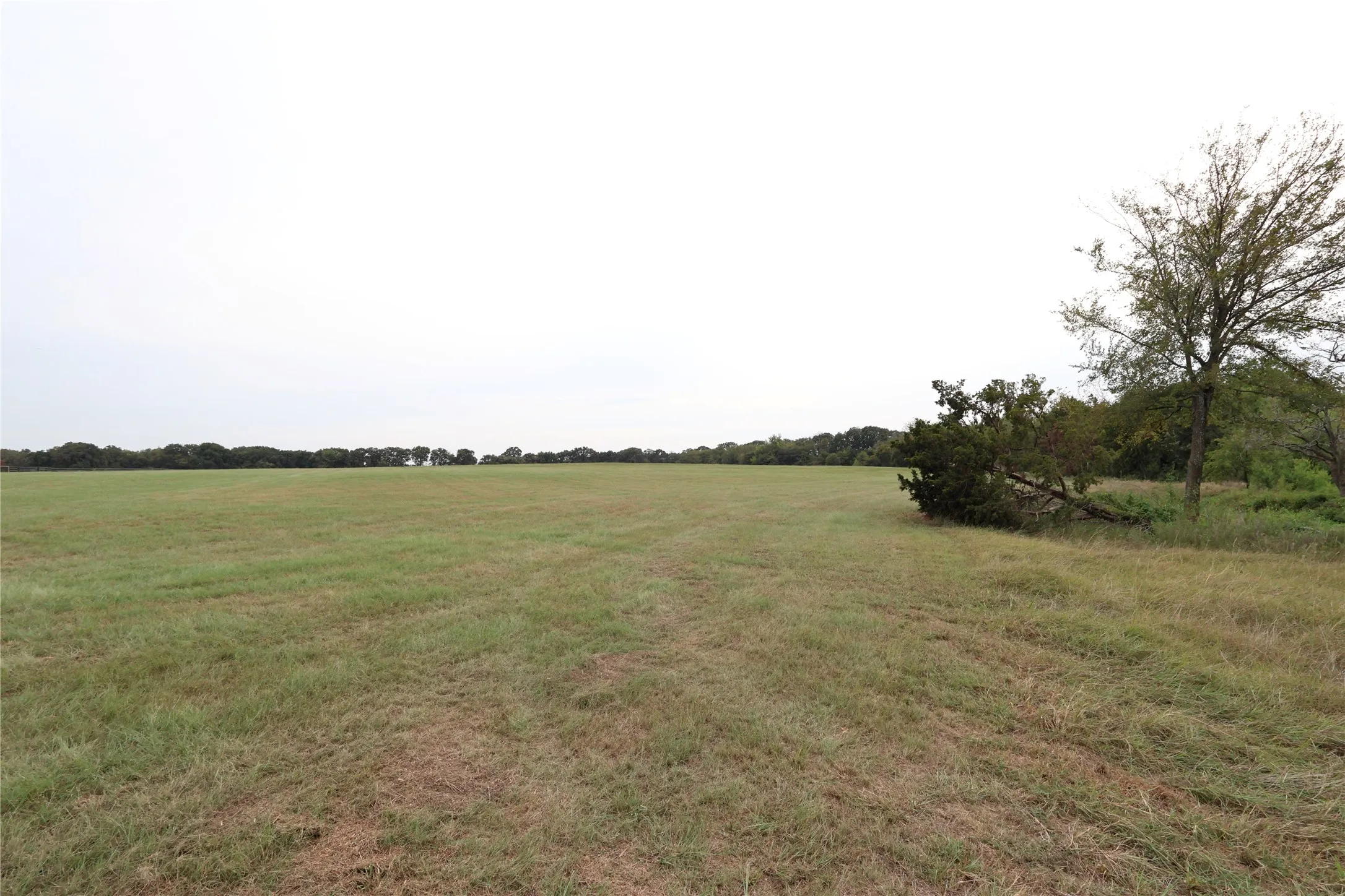 Unimproved Land For Sale in Denton County , 2142 Spring Hill Road, Aubrey, Texas 76227, 0, 0, Garage spaces, 0 Sqft, built in 0, mls#21380896, Real Estate Agent in Aubrey, Homes For Sale in Denton county, Homes For Sale in Aubrey, Realtor in Aubrey Texas, Real Estate Brokerage Independent Realty Texas, Luminita Cordes Realtor