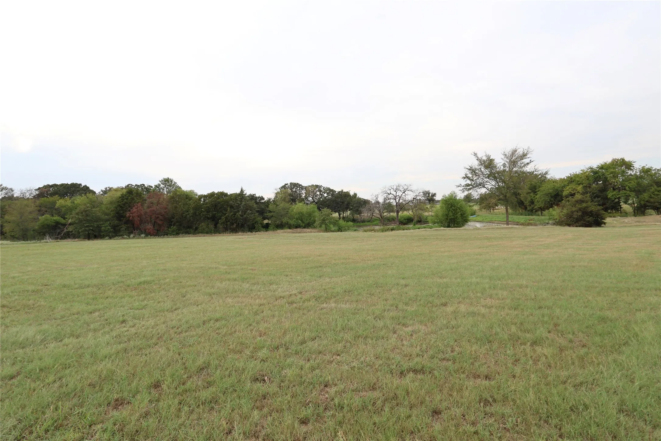 Unimproved Land For Sale in Denton County , 2142 Spring Hill Road, Aubrey, Texas 76227, 0, 0, Garage spaces, 0 Sqft, built in 0, mls#21380896, Real Estate Agent in Aubrey, Homes For Sale in Denton county, Homes For Sale in Aubrey, Realtor in Aubrey Texas, Real Estate Brokerage Independent Realty Texas, Luminita Cordes Realtor