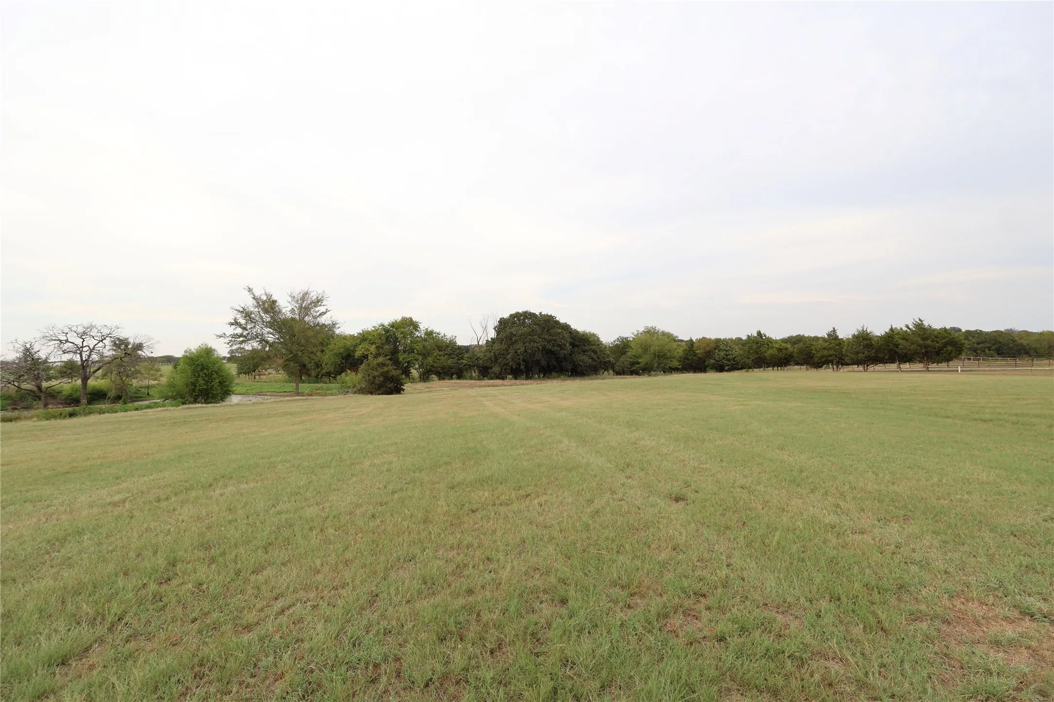 Expansive green space featuring a large lawn area and a treeline bordering the property