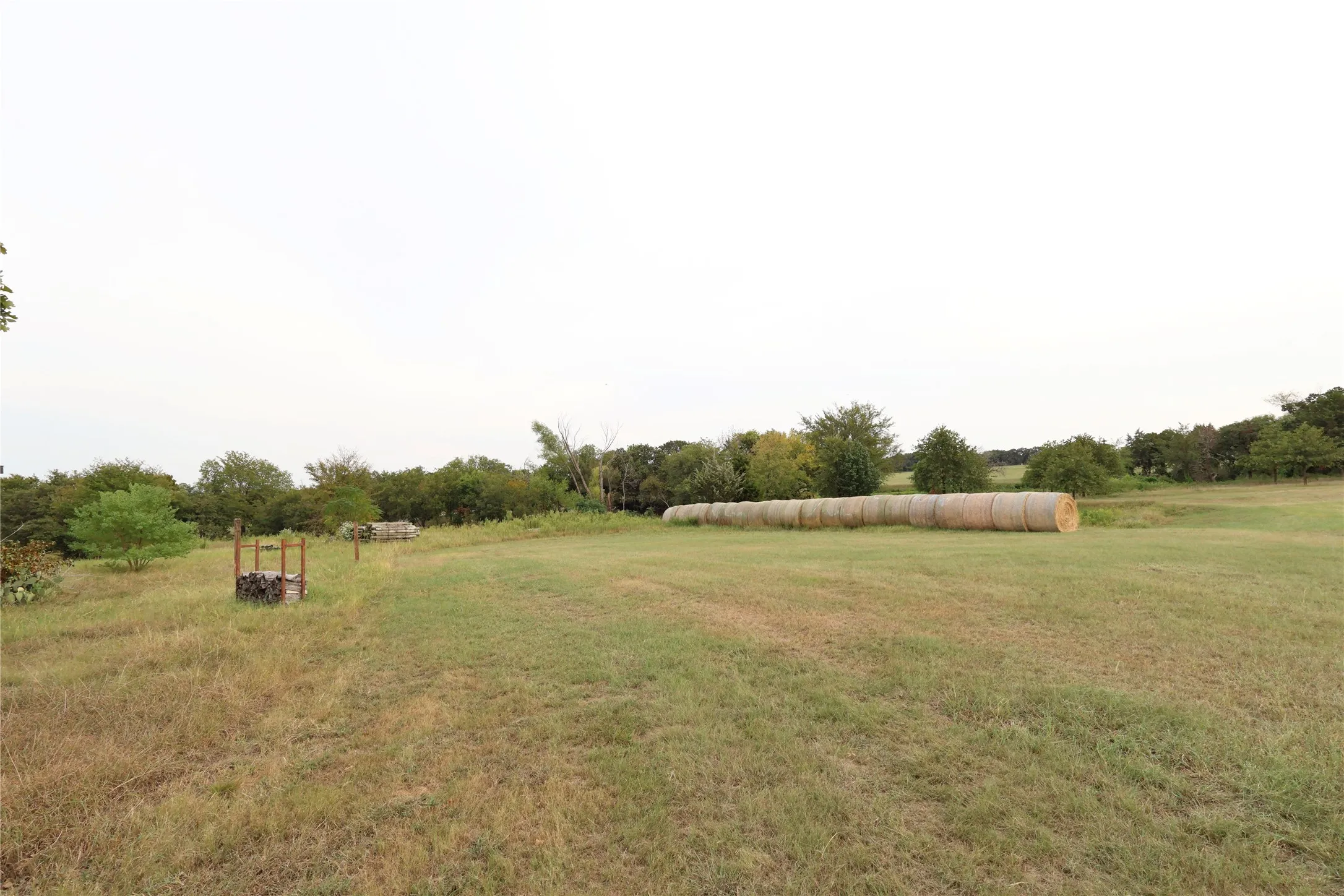 Expansive open field with scattered trees and a line of hay bales