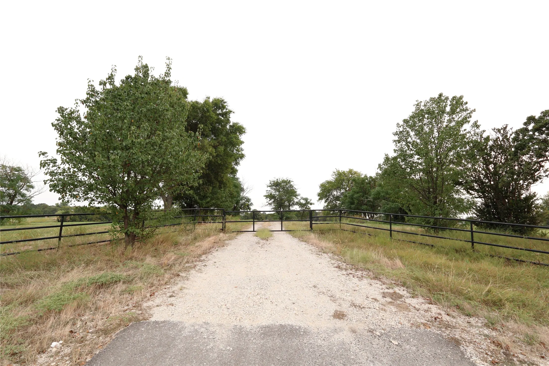 Gravel driveway with a black metal gate and fencing, bordered by mature trees and natural landscaping