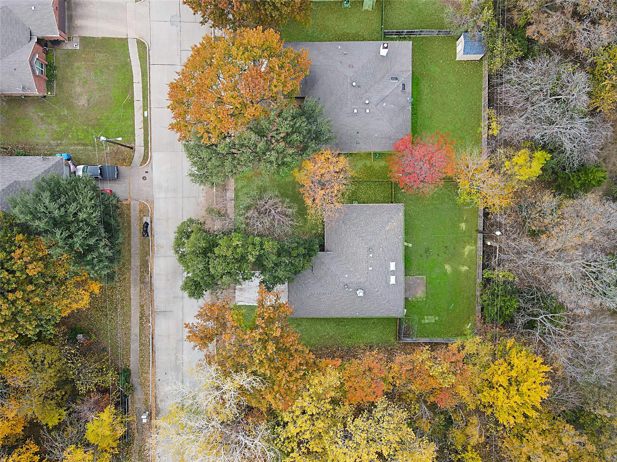 Large 1/4 lot