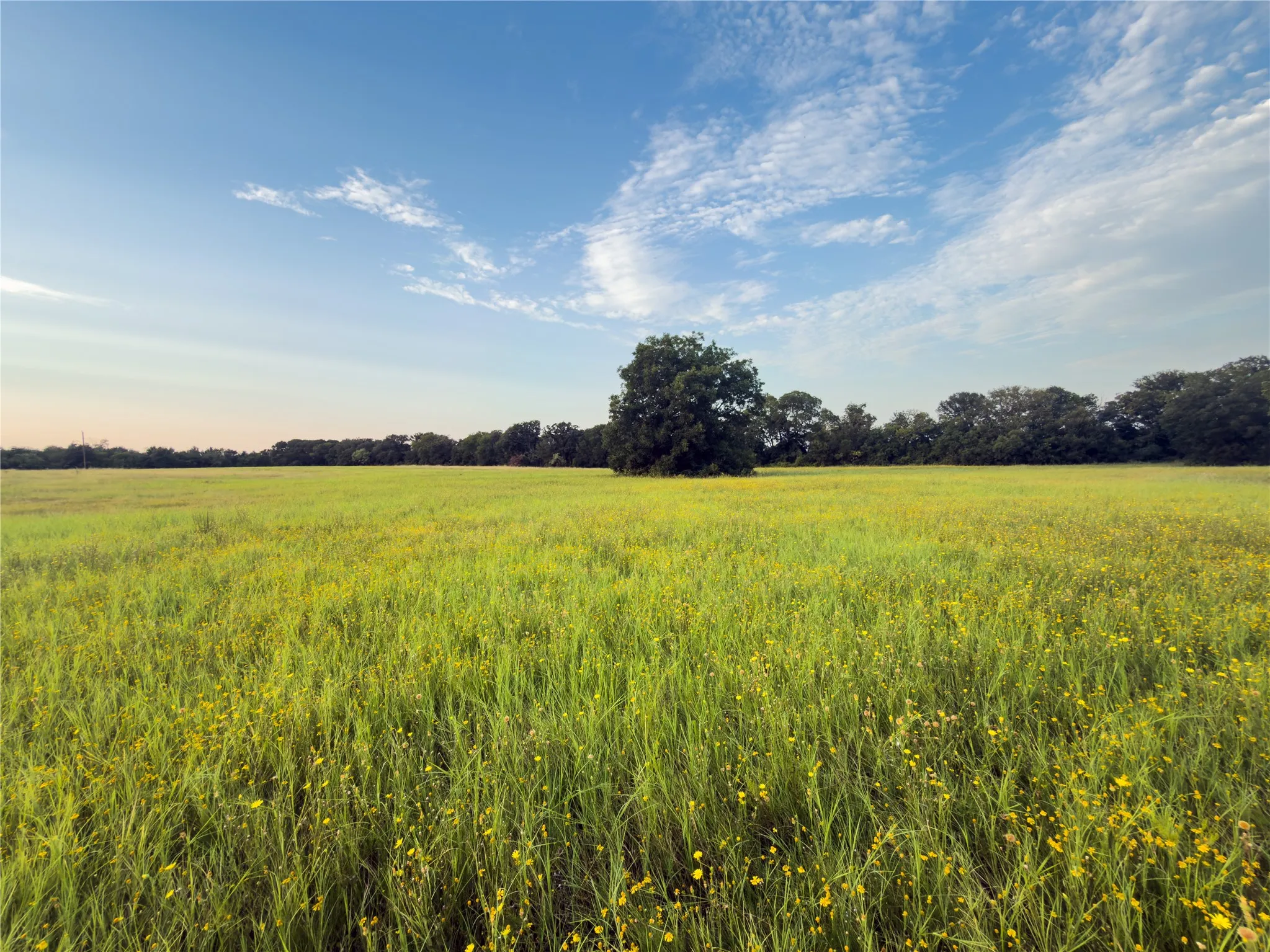 Unimproved Land For Sale in Mc Lennan County , Lot 7 Wilson Road, Waco, Texas 76705, 0, 0, Garage spaces, 0 Sqft, built in 0, mls#21380958, Real Estate Agent in Waco, Homes For Sale in Mc Lennan county, Homes For Sale in Waco, Realtor in Waco Texas, Real Estate Brokerage Independent Realty Texas, Luminita Cordes Realtor