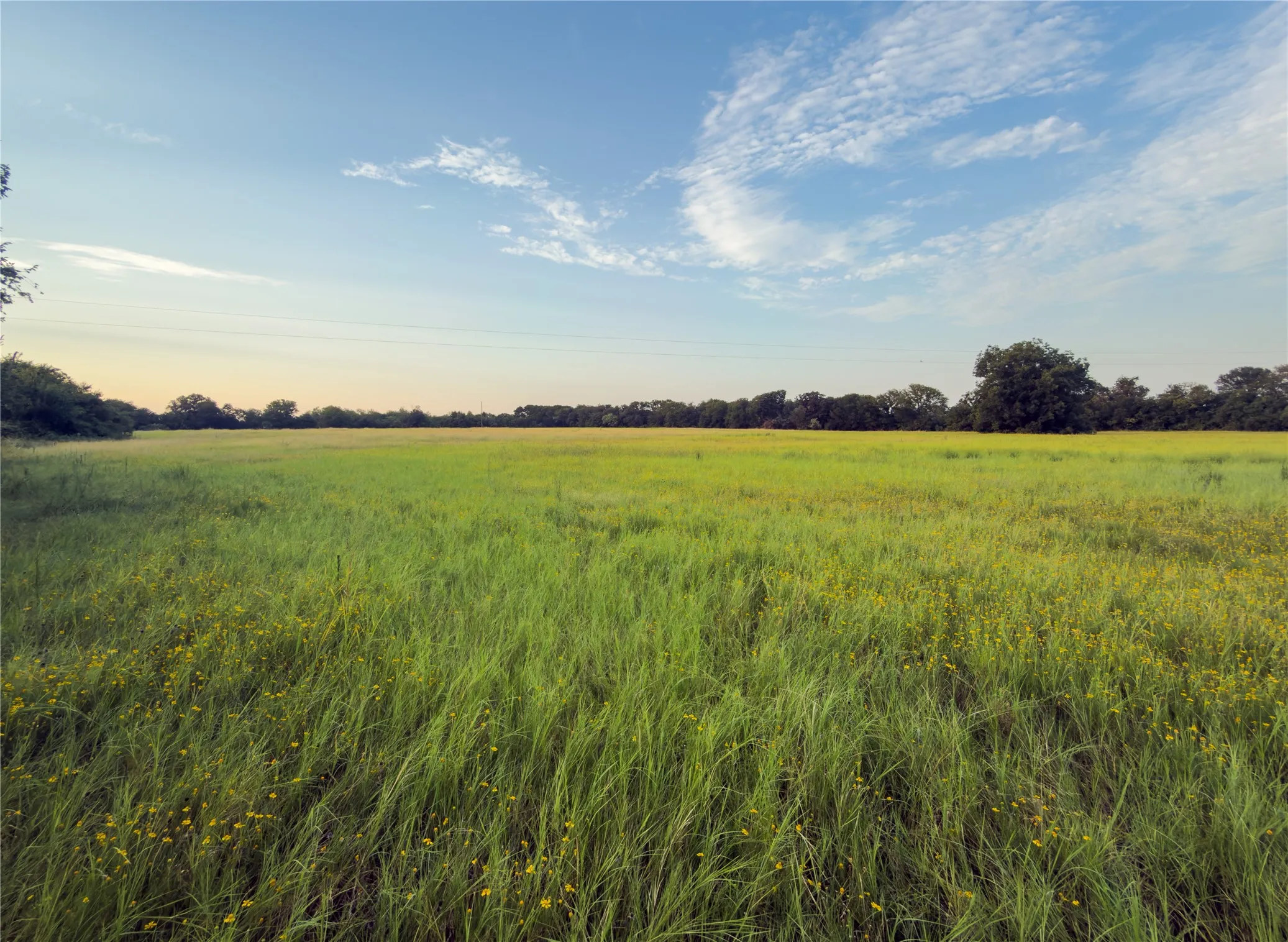 Unimproved Land For Sale in Mc Lennan County , Lot 7 Wilson Road, Waco, Texas 76705, 0, 0, Garage spaces, 0 Sqft, built in 0, mls#21380958, Real Estate Agent in Waco, Homes For Sale in Mc Lennan county, Homes For Sale in Waco, Realtor in Waco Texas, Real Estate Brokerage Independent Realty Texas, Luminita Cordes Realtor