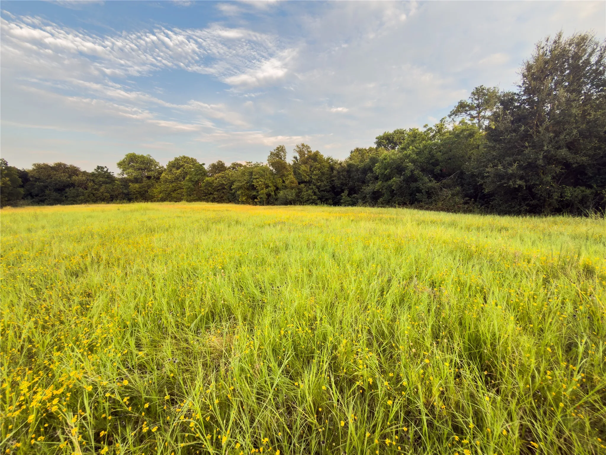 Unimproved Land For Sale in Mc Lennan County , Lot 7 Wilson Road, Waco, Texas 76705, 0, 0, Garage spaces, 0 Sqft, built in 0, mls#21380958, Real Estate Agent in Waco, Homes For Sale in Mc Lennan county, Homes For Sale in Waco, Realtor in Waco Texas, Real Estate Brokerage Independent Realty Texas, Luminita Cordes Realtor