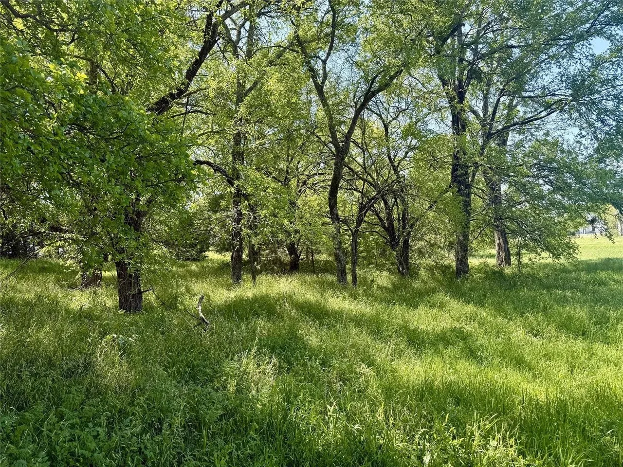Unimproved Land For Sale in Kaufman County , 1099 Hidden Oaks Drive, Wills Point, Texas 75169, 0, 0, Garage spaces, 0 Sqft, built in 0, mls#21380125, Real Estate Agent in Wills Point, Homes For Sale in Kaufman county, Homes For Sale in Wills Point, Realtor in Wills Point Texas, Real Estate Brokerage Independent Realty Texas, Luminita Cordes Realtor