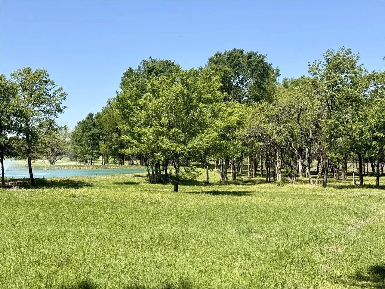 Unimproved Land For Sale in Kaufman County , 1099 Hidden Oaks Drive, Wills Point, Texas 75169, 0, 0, Garage spaces, 0 Sqft, built in 0, mls#21380125, Real Estate Agent in Wills Point, Homes For Sale in Kaufman county, Homes For Sale in Wills Point, Realtor in Wills Point Texas, Real Estate Brokerage Independent Realty Texas, Luminita Cordes Realtor