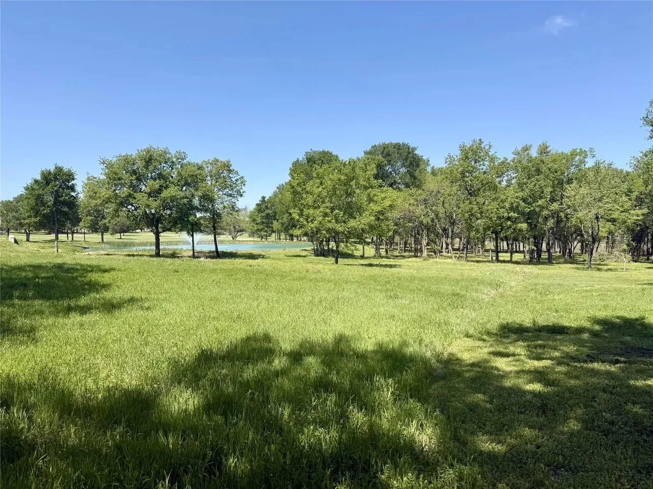 Unimproved Land For Sale in Kaufman County , 1099 Hidden Oaks Drive, Wills Point, Texas 75169, 0, 0, Garage spaces, 0 Sqft, built in 0, mls#21380125, Real Estate Agent in Wills Point, Homes For Sale in Kaufman county, Homes For Sale in Wills Point, Realtor in Wills Point Texas, Real Estate Brokerage Independent Realty Texas, Luminita Cordes Realtor