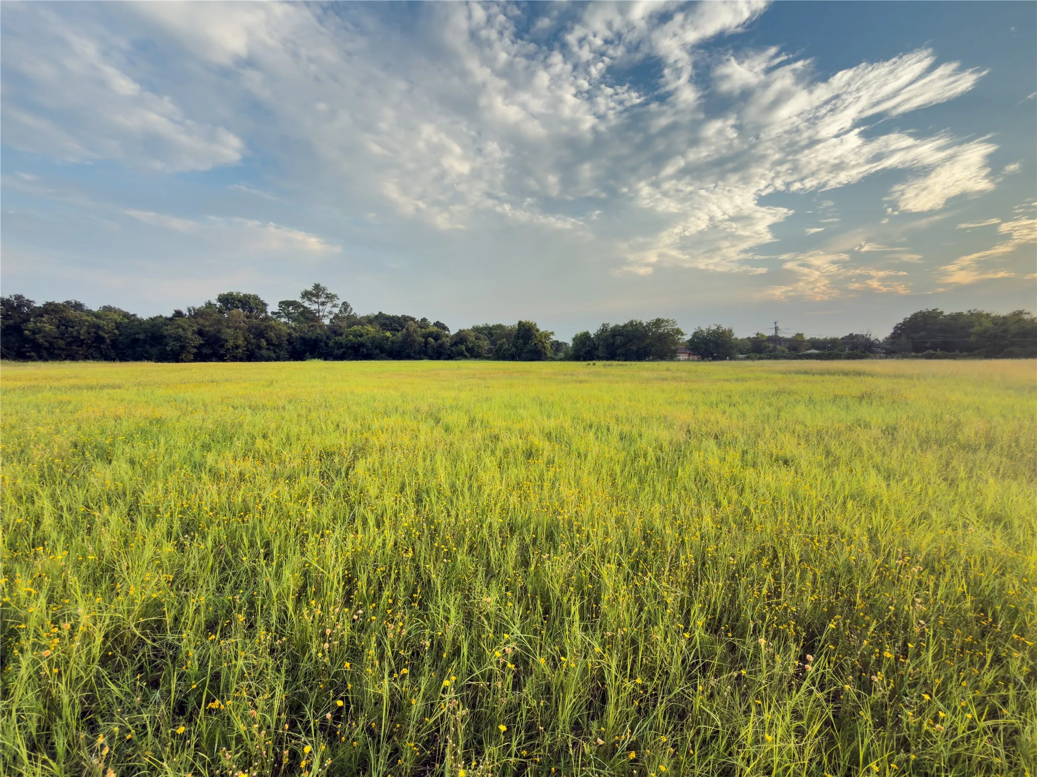 Unimproved Land For Sale in Mc Lennan County , Lot 8 Wilson Road, Waco, Texas 76705, 0, 0, Garage spaces, 0 Sqft, built in 0, mls#21380981, Real Estate Agent in Waco, Homes For Sale in Mc Lennan county, Homes For Sale in Waco, Realtor in Waco Texas, Real Estate Brokerage Independent Realty Texas, Luminita Cordes Realtor