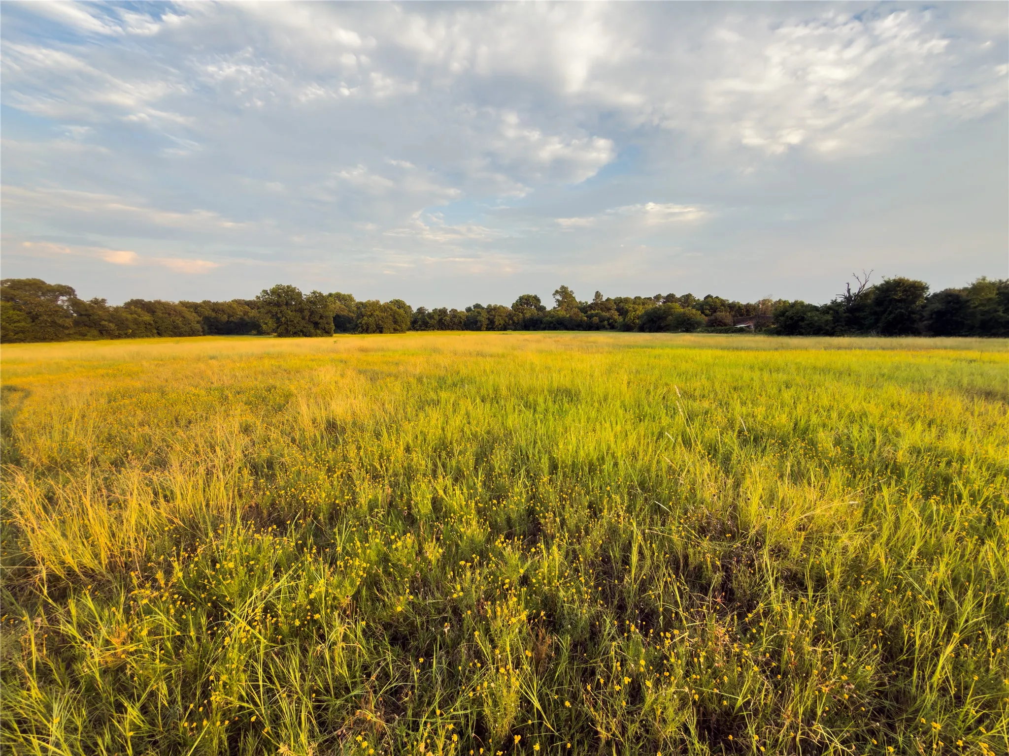 Unimproved Land For Sale in Mc Lennan County , Lot 8 Wilson Road, Waco, Texas 76705, 0, 0, Garage spaces, 0 Sqft, built in 0, mls#21380981, Real Estate Agent in Waco, Homes For Sale in Mc Lennan county, Homes For Sale in Waco, Realtor in Waco Texas, Real Estate Brokerage Independent Realty Texas, Luminita Cordes Realtor