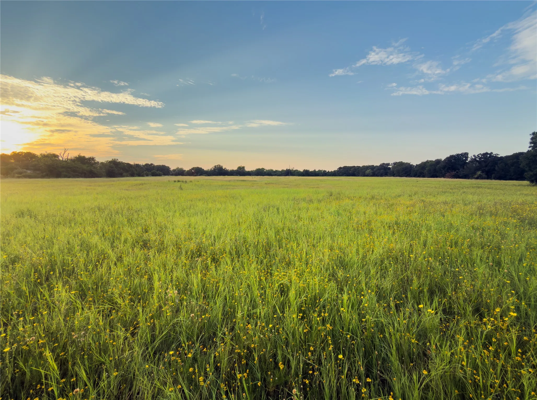 Unimproved Land For Sale in Mc Lennan County , Lot 8 Wilson Road, Waco, Texas 76705, 0, 0, Garage spaces, 0 Sqft, built in 0, mls#21380981, Real Estate Agent in Waco, Homes For Sale in Mc Lennan county, Homes For Sale in Waco, Realtor in Waco Texas, Real Estate Brokerage Independent Realty Texas, Luminita Cordes Realtor