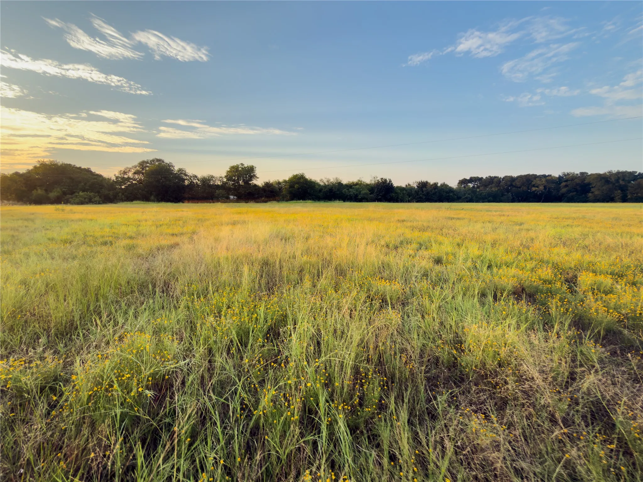 Unimproved Land For Sale in Mc Lennan County , Lot 8 Wilson Road, Waco, Texas 76705, 0, 0, Garage spaces, 0 Sqft, built in 0, mls#21380981, Real Estate Agent in Waco, Homes For Sale in Mc Lennan county, Homes For Sale in Waco, Realtor in Waco Texas, Real Estate Brokerage Independent Realty Texas, Luminita Cordes Realtor